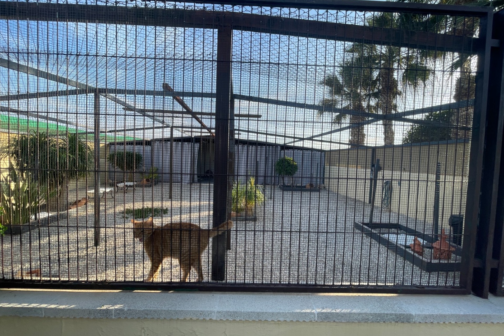 Resale - Country Property/Finca -
Elche - Las Bayas