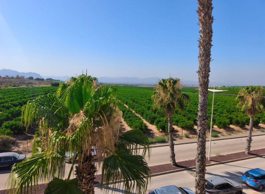 Resale - Duplex -
Algorfa