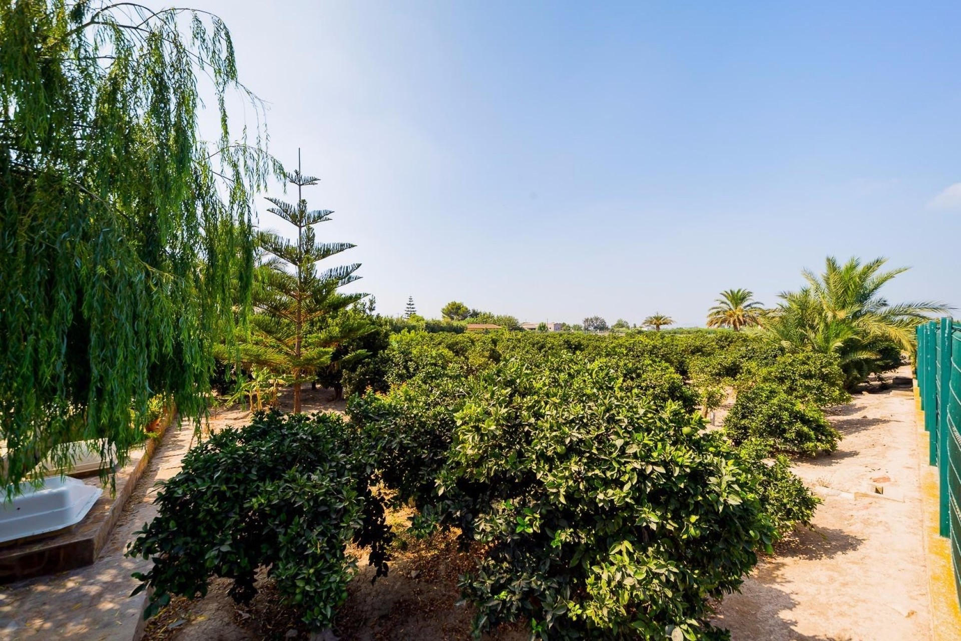 Resale - Finca / Country Property -
Almoradí