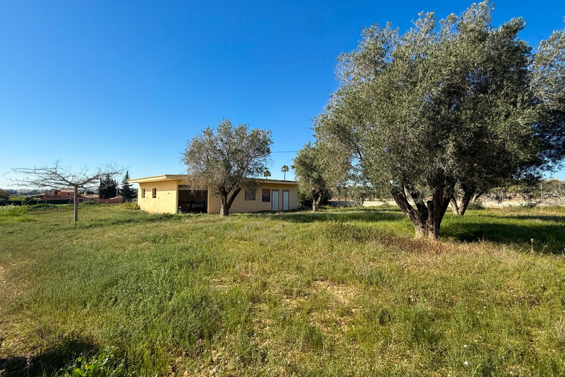 Resale - Finca Country Property -
Guardamar del Segura - Guardamar