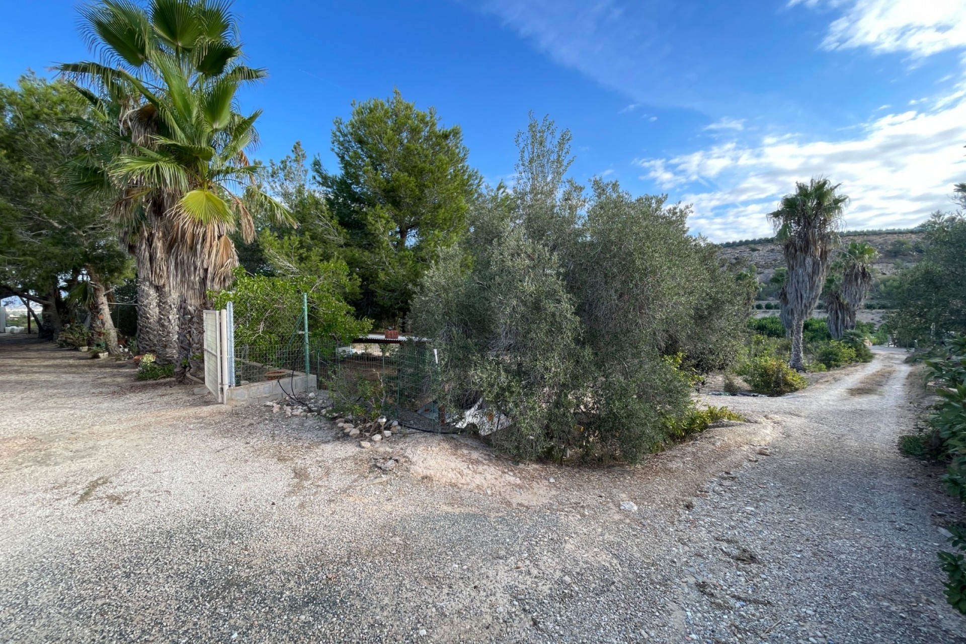 Resale - Finca / Country Property -
Jacarilla