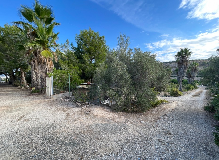 Resale - Finca / Country Property -
Jacarilla