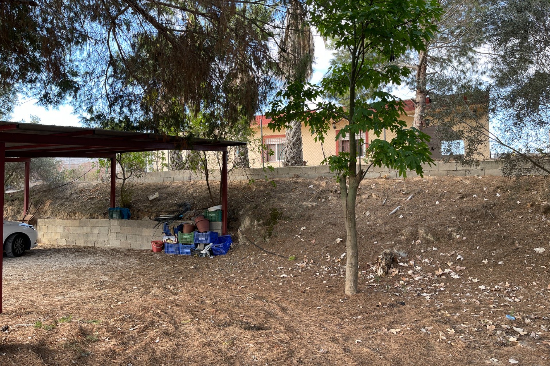 Resale - Finca / Country Property -
Jacarilla