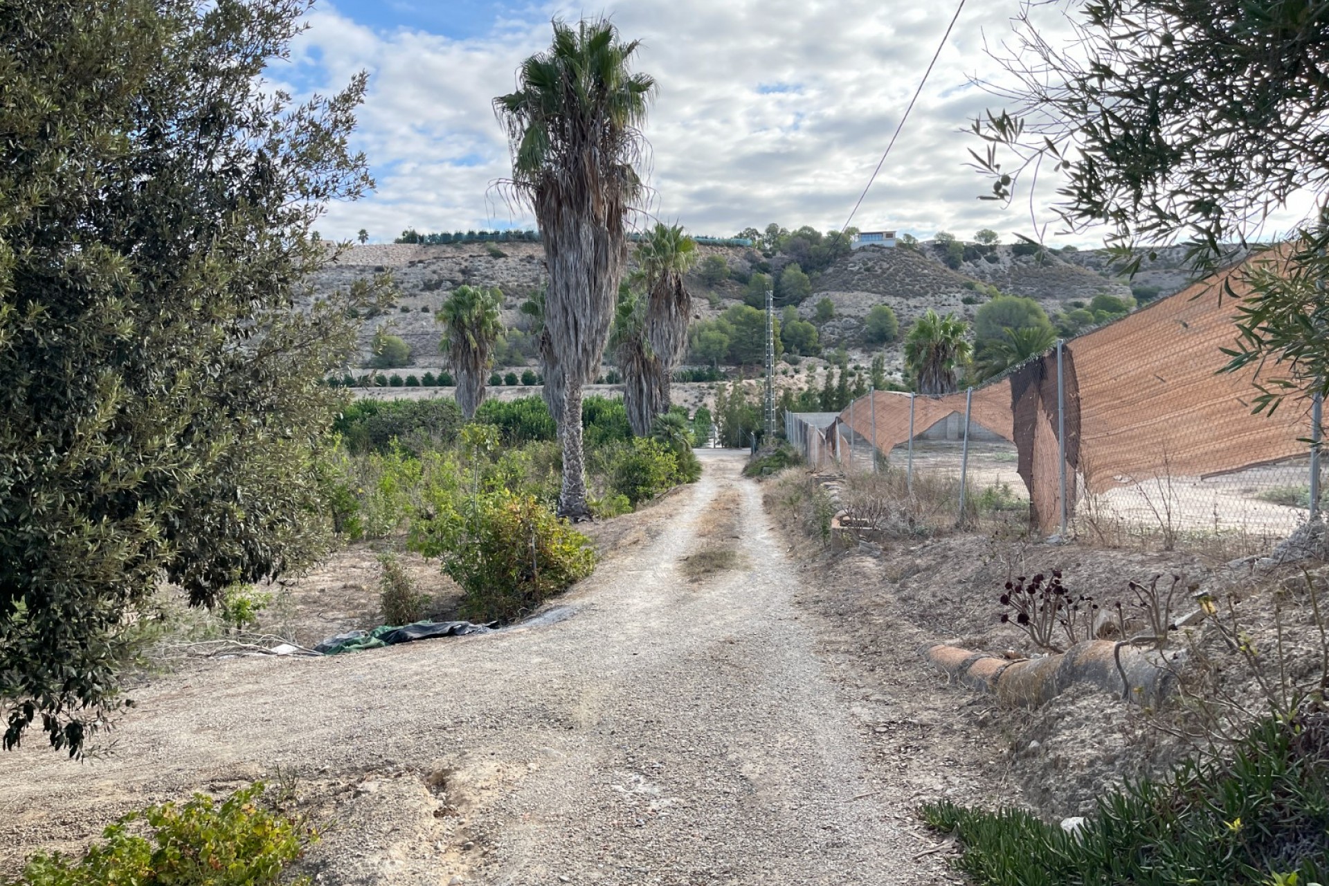 Resale - Finca / Country Property -
Jacarilla