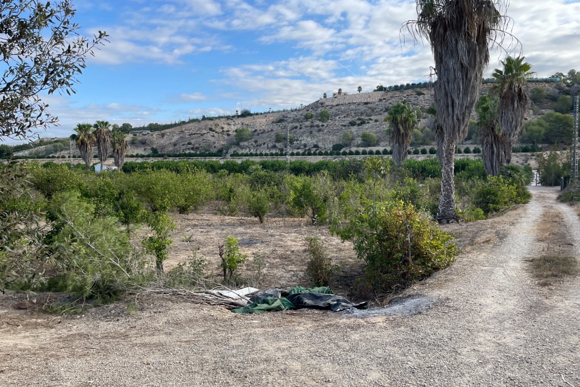 Resale - Finca / Country Property -
Jacarilla