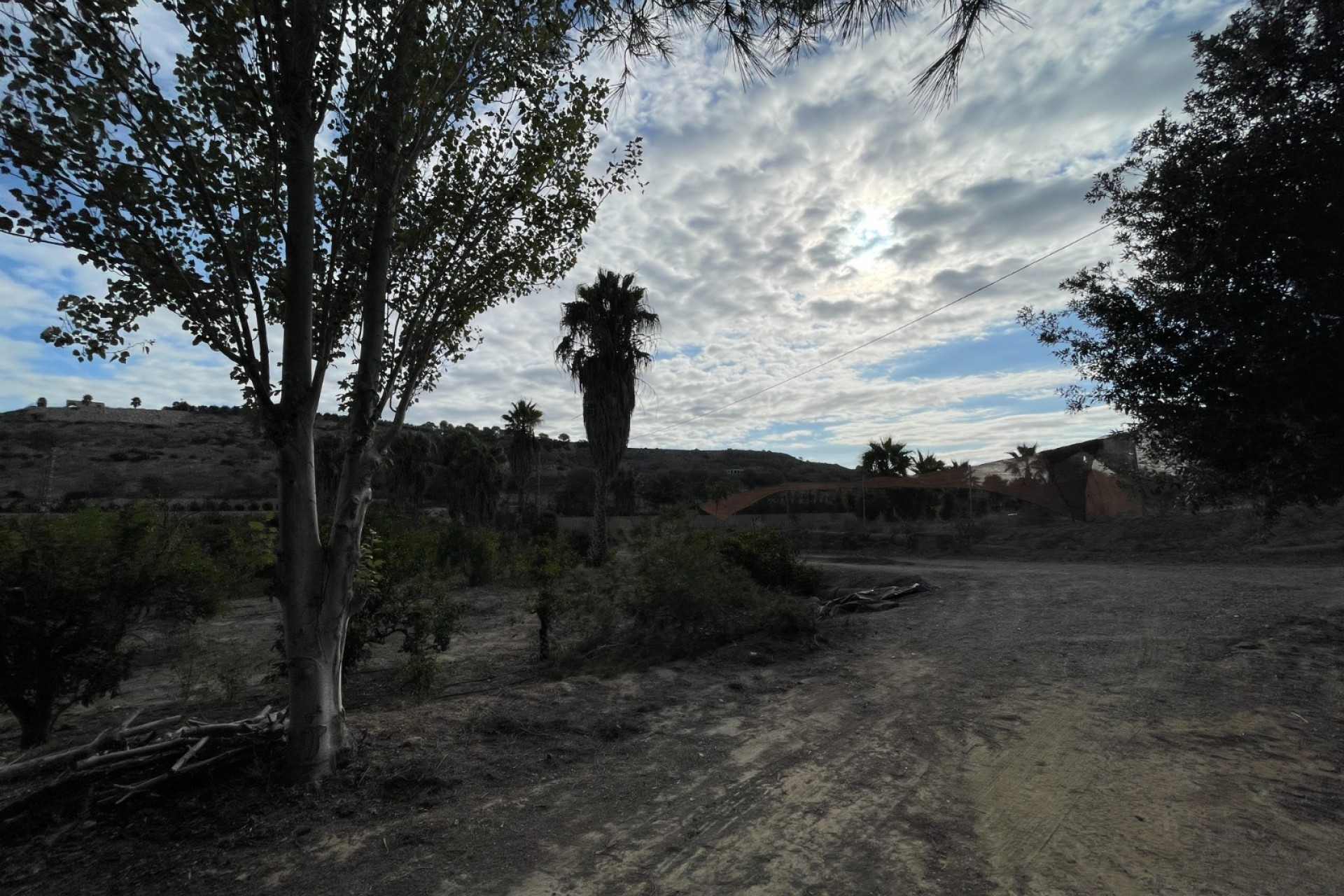 Resale - Finca / Country Property -
Jacarilla