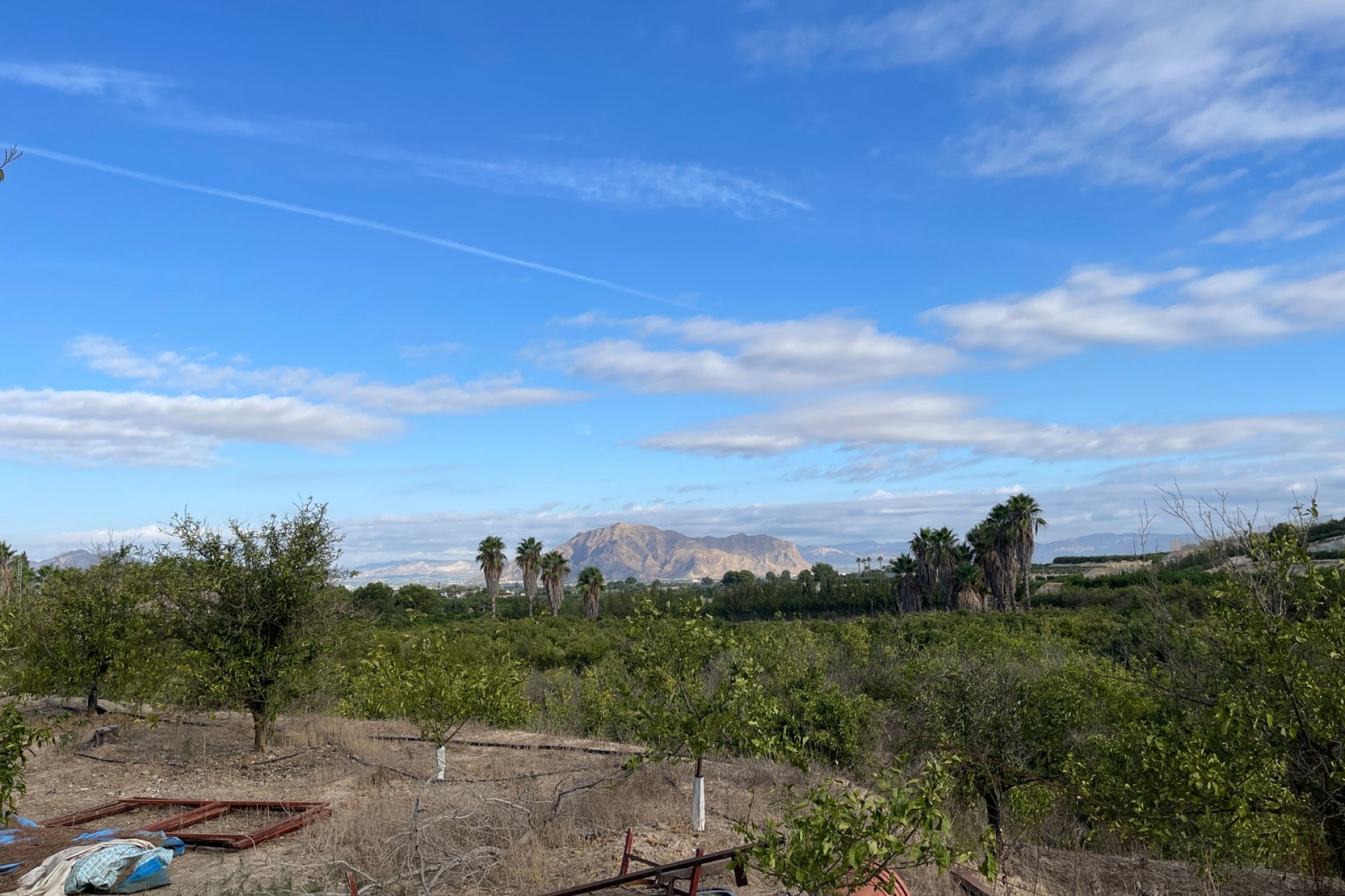 Resale - Finca / Country Property -
Jacarilla