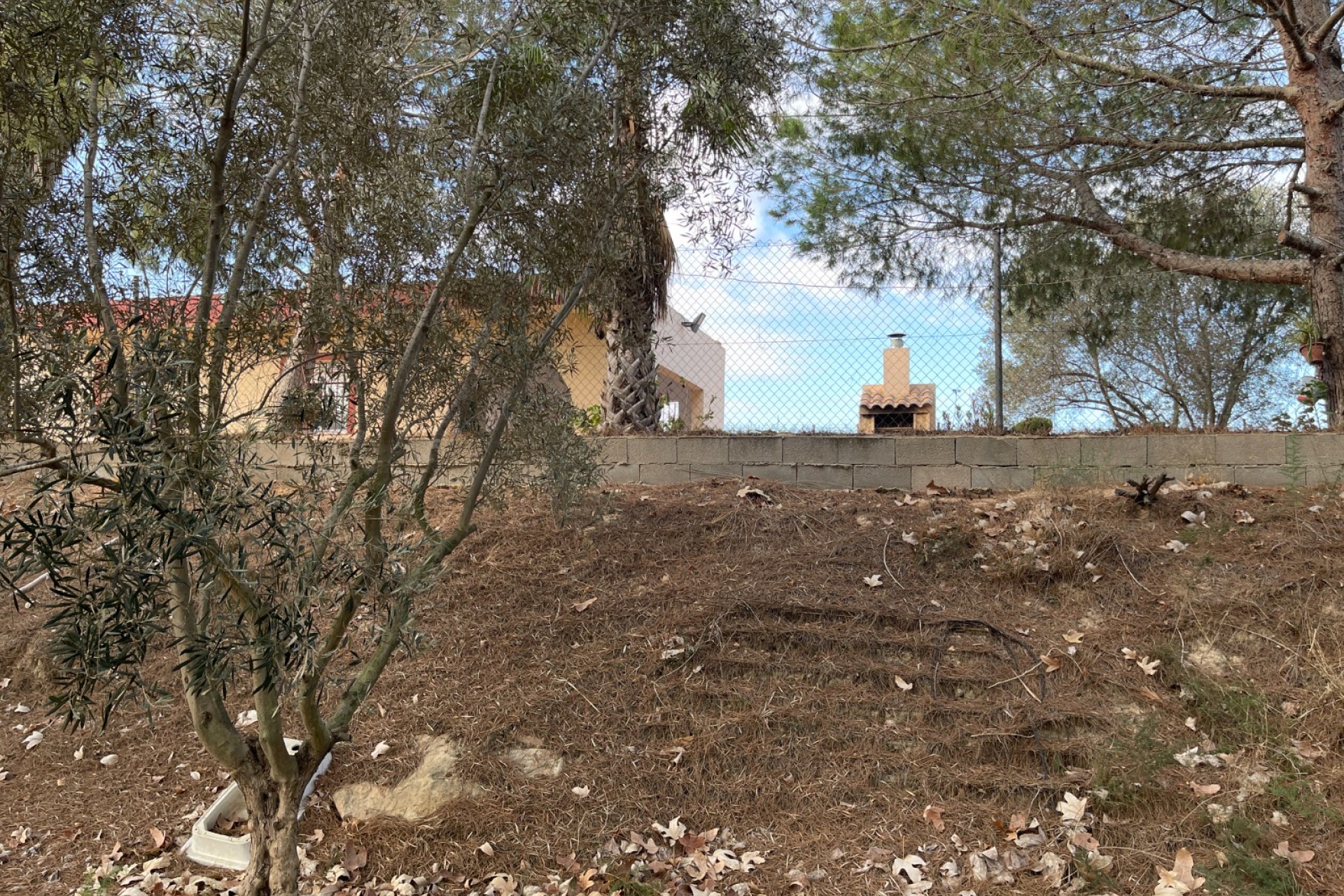 Resale - Finca / Country Property -
Jacarilla