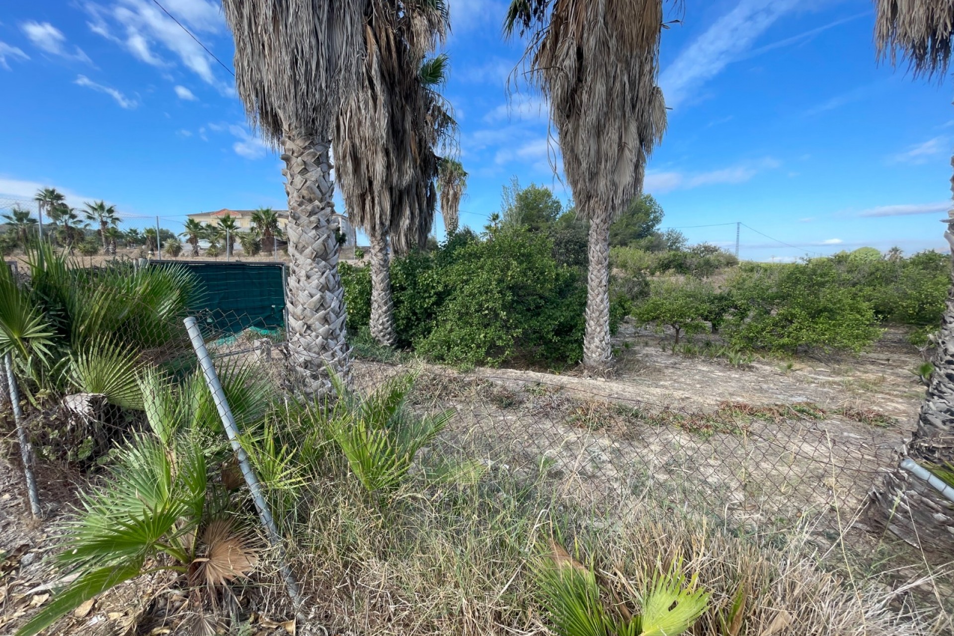 Resale - Finca / Country Property -
Jacarilla