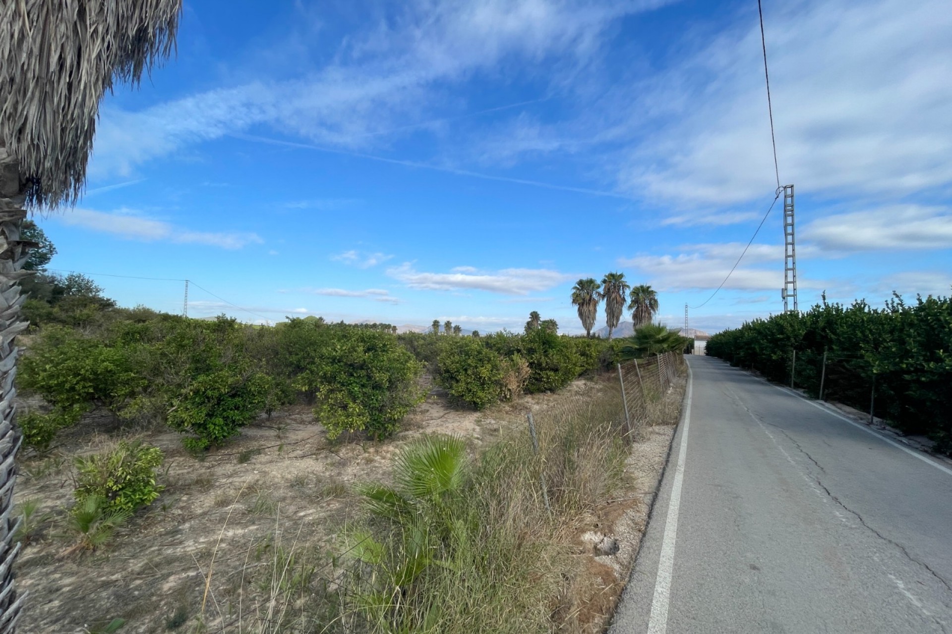 Resale - Finca / Country Property -
Jacarilla