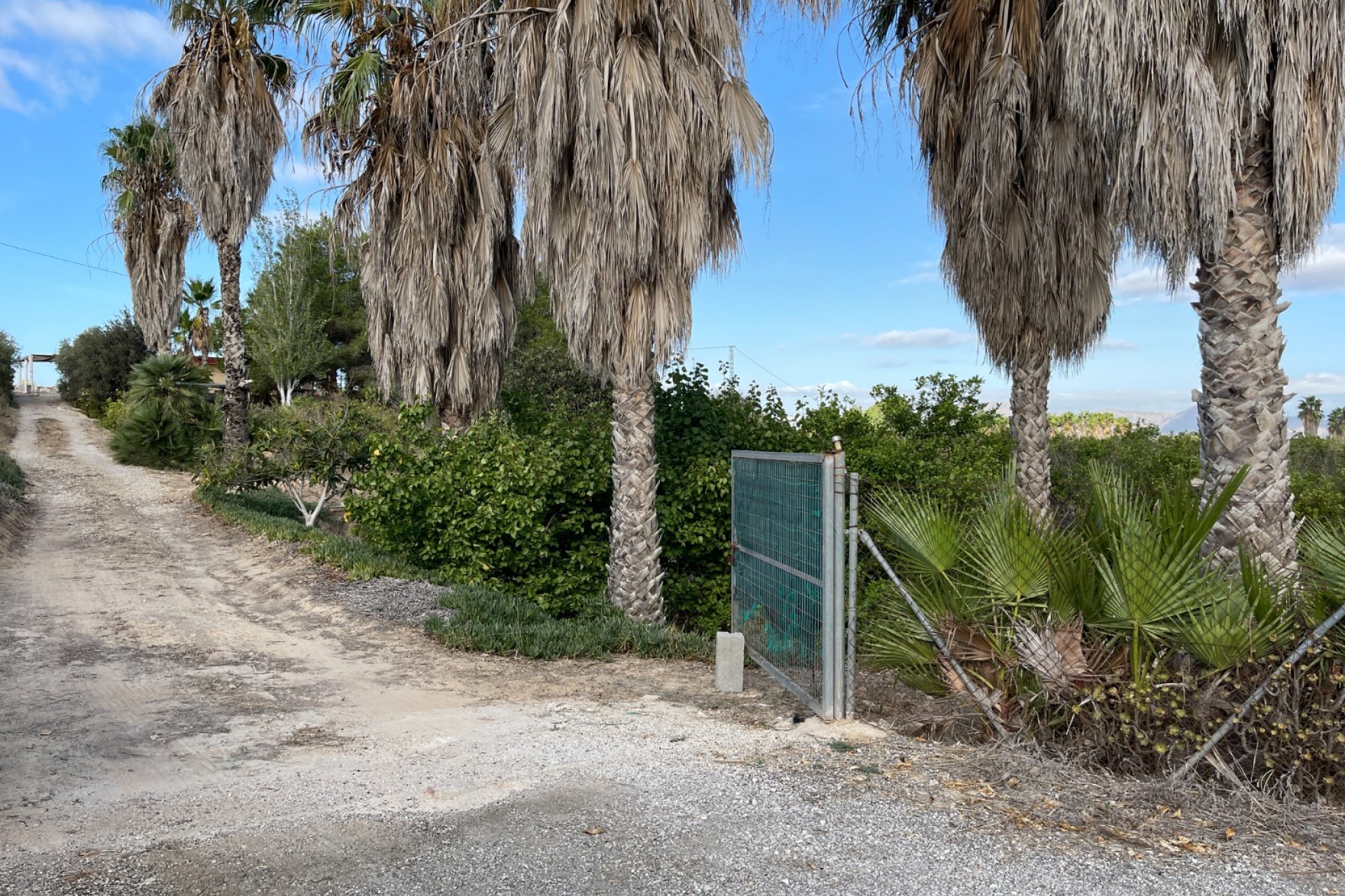 Resale - Finca / Country Property -
Jacarilla