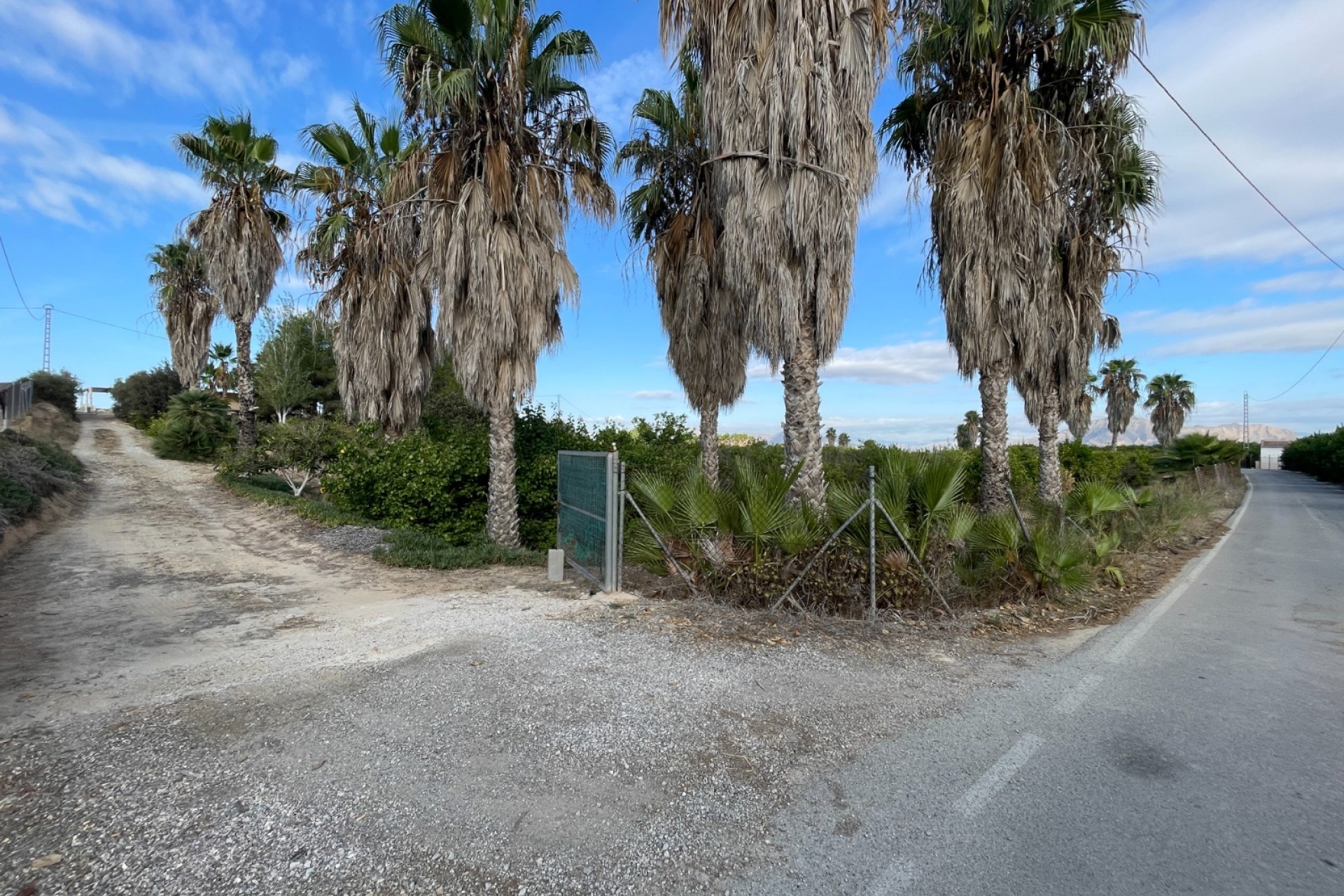 Resale - Finca / Country Property -
Jacarilla