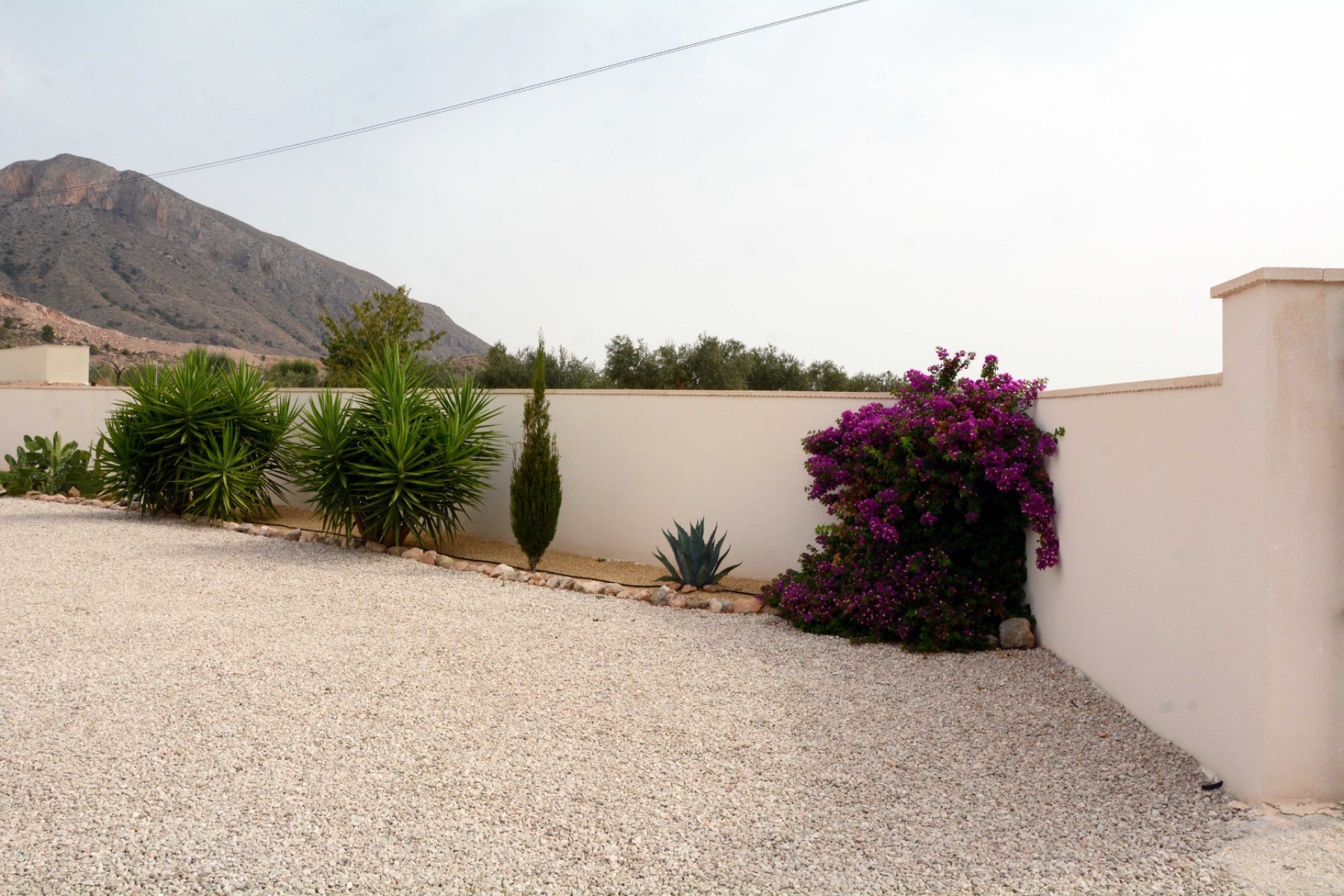 Resale - Finca / Country Property -
Macisvenda