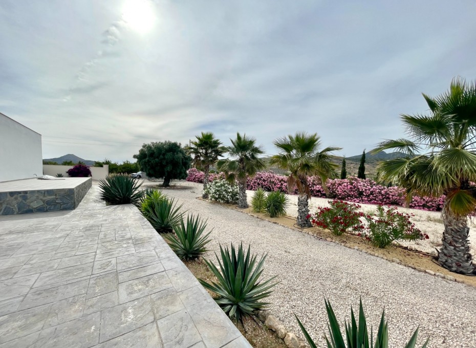 Resale - Finca / Country Property -
Macisvenda