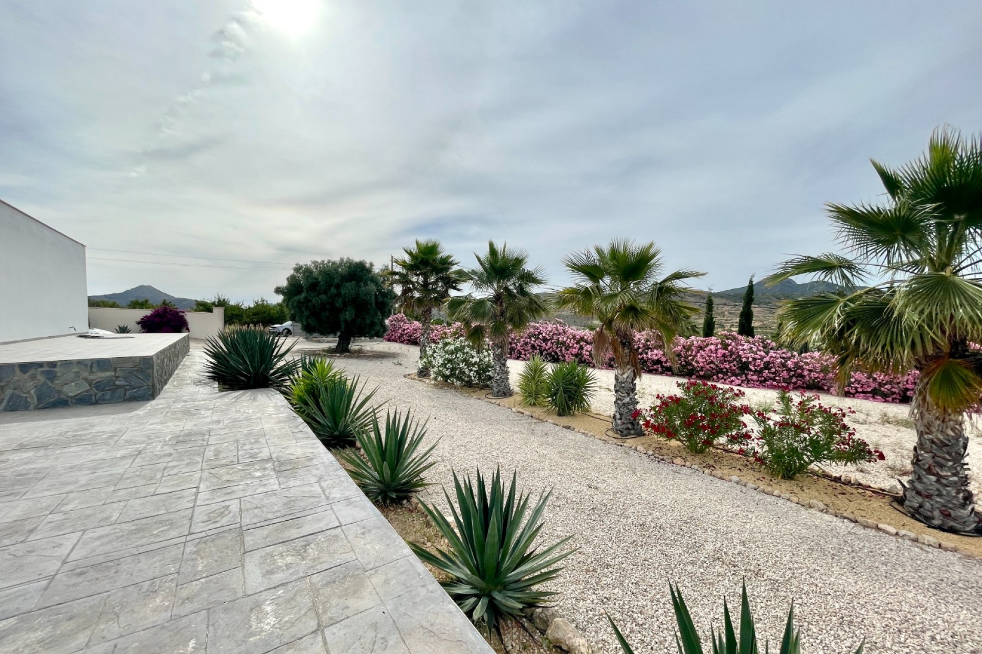 Resale - Finca / Country Property -
Macisvenda