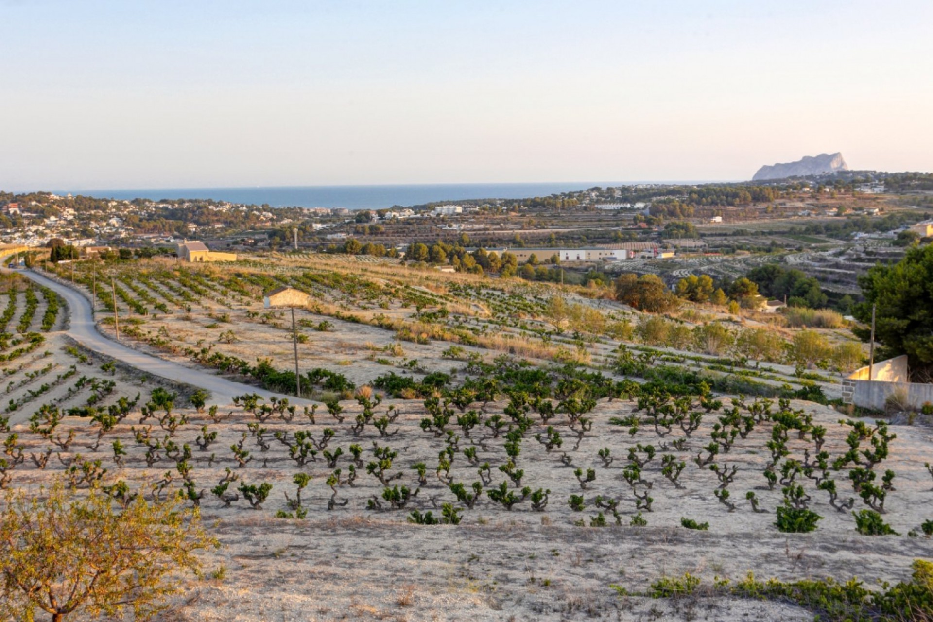 Resale - Finca -
Moraira - Campo