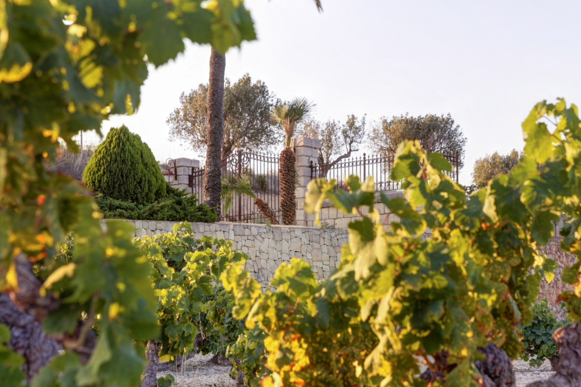 Resale - Finca -
Moraira - Campo