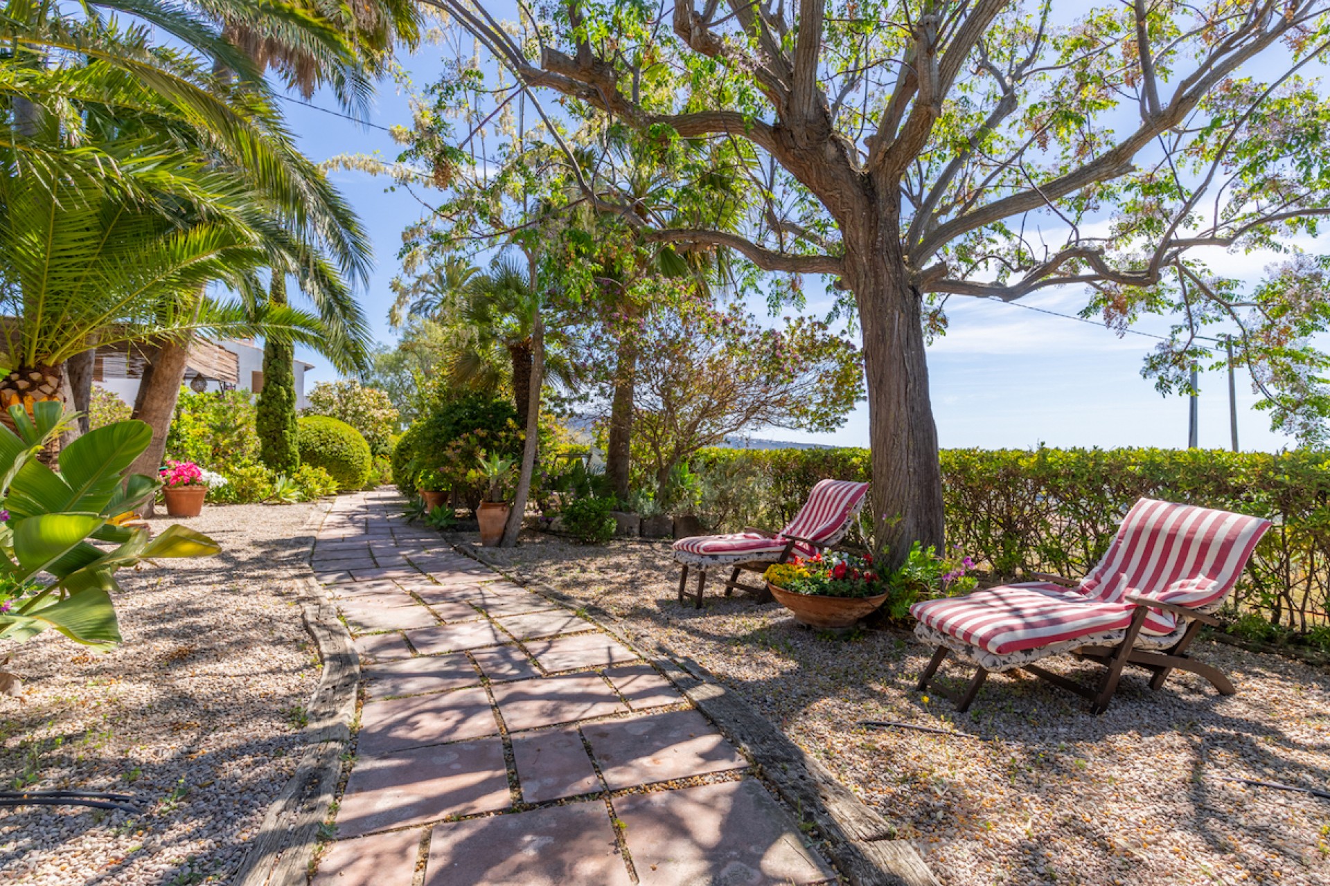 Resale - Finca -
Teulada - Campo