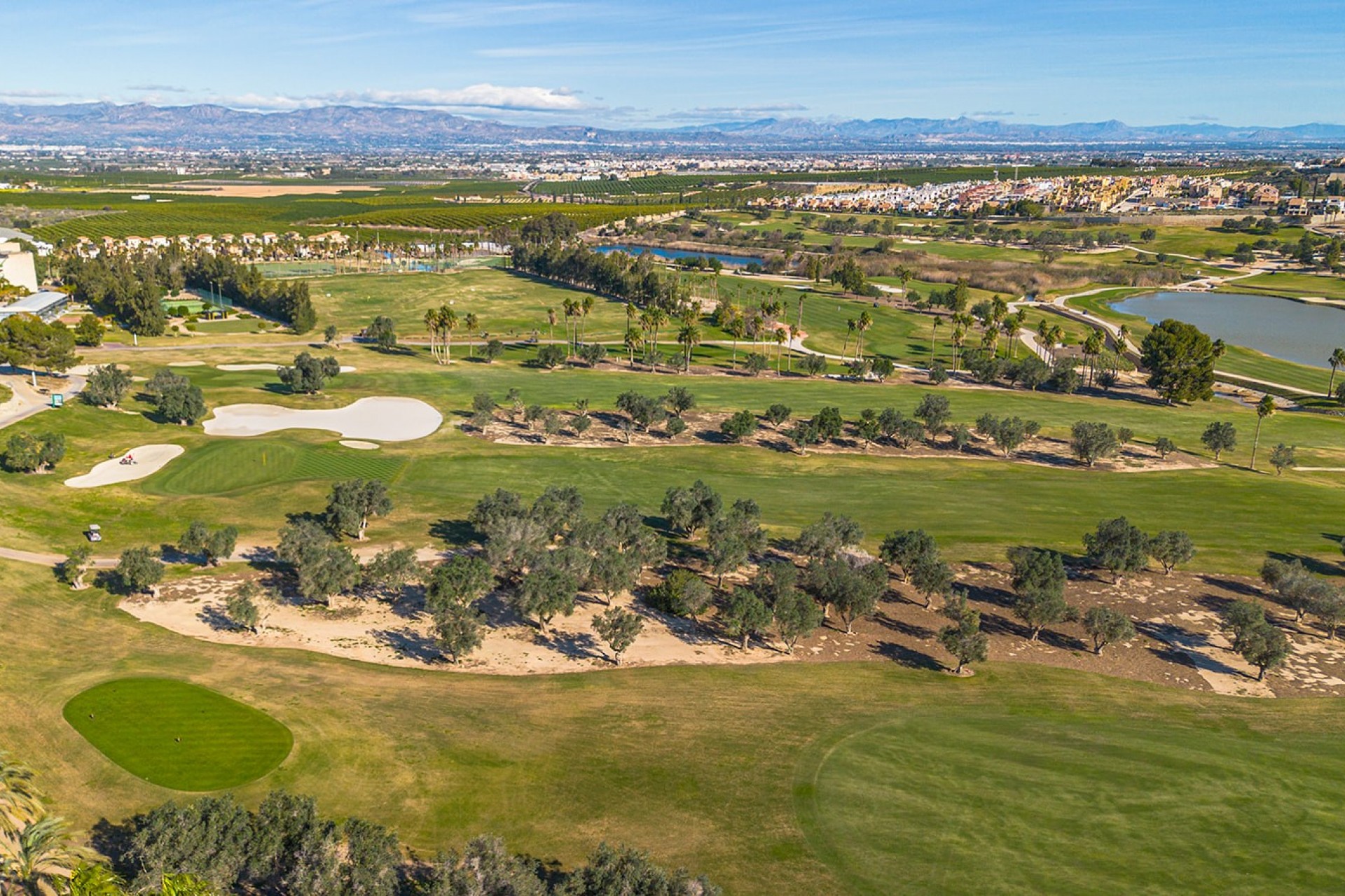 Resale - House -
Algorfa - La finca golf