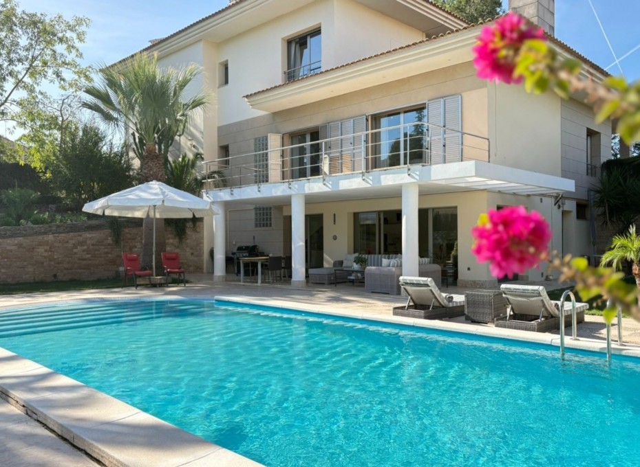 Resale - Independent villa -
Alcayna