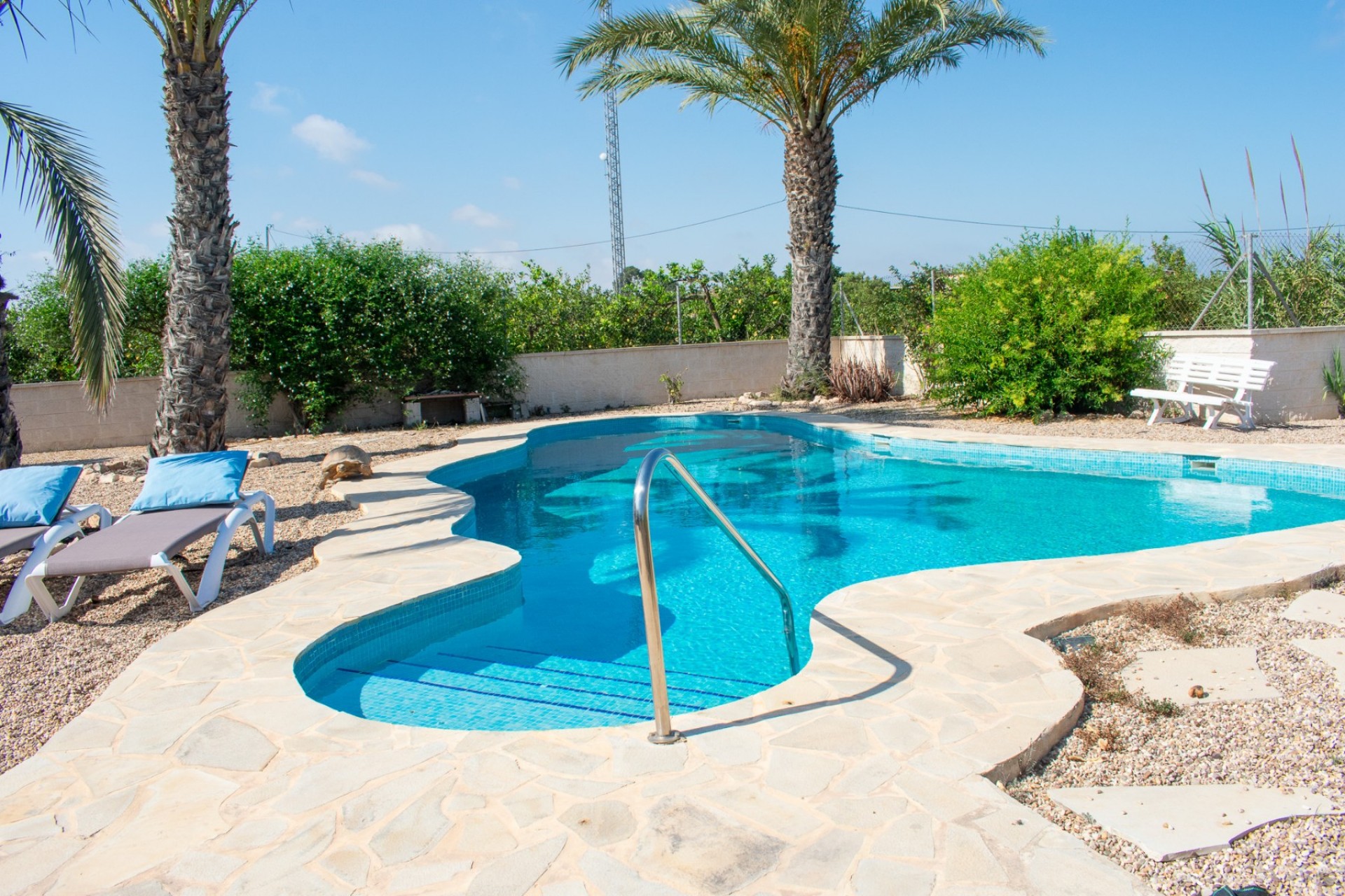Resale - Independent villa -
Guardamar del Segura - EL RASO