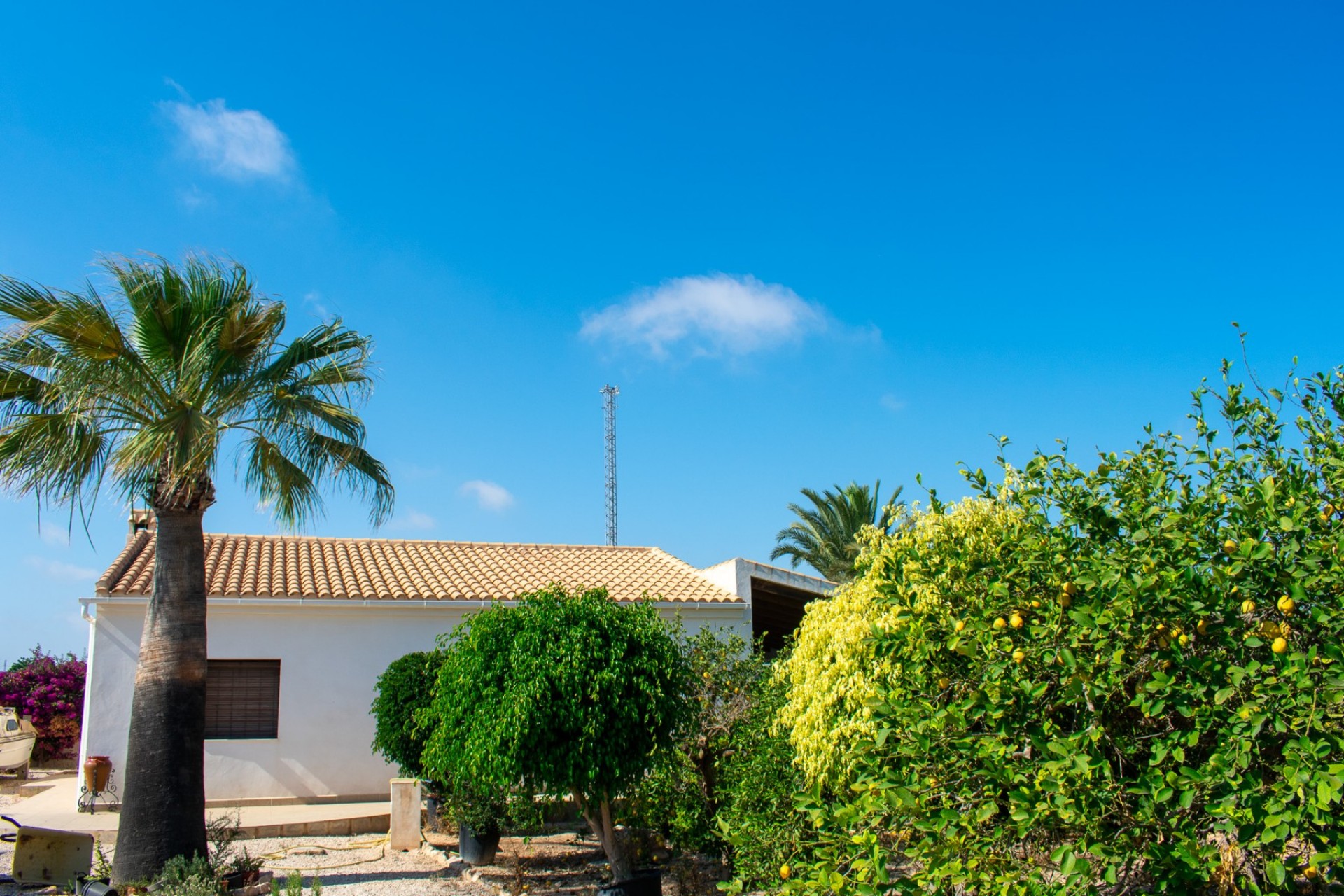 Resale - Independent villa -
Guardamar del Segura - EL RASO