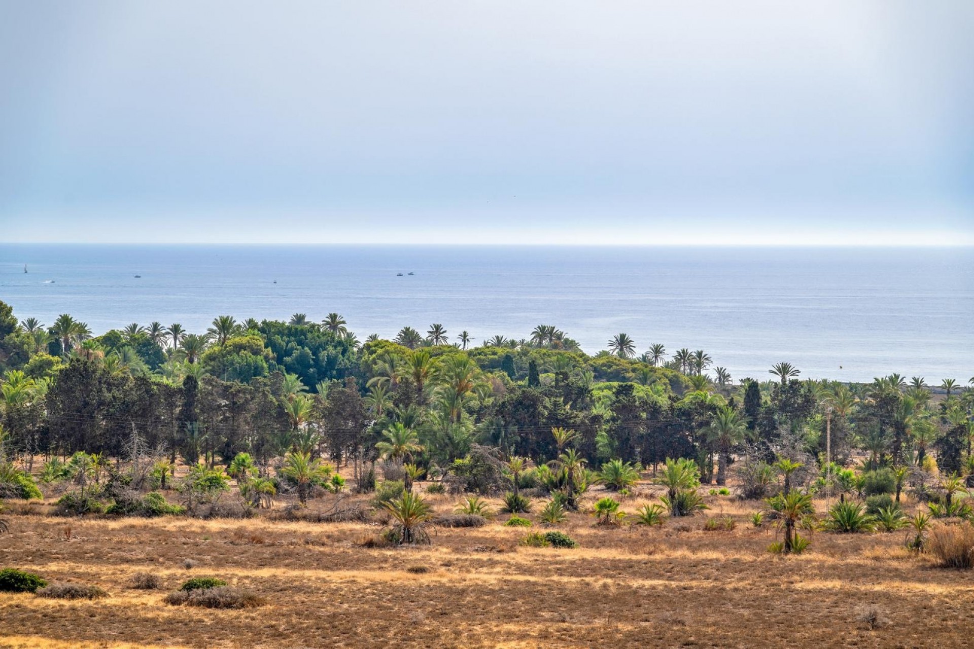 Resale - Penthouse -
Torrevieja - Punta prima