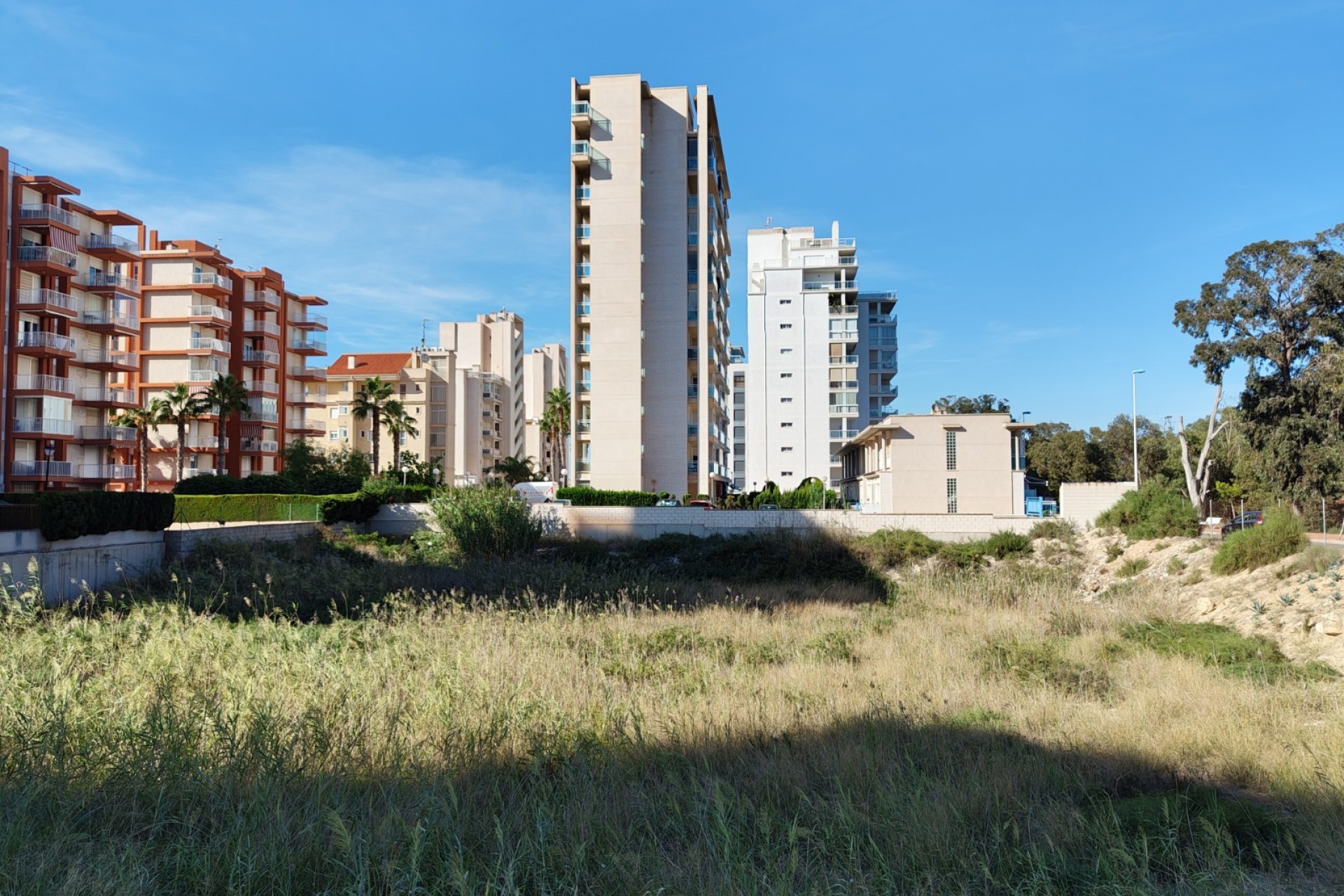 Resale - Plot -
Guardamar del Segura - Guardamar pueblo