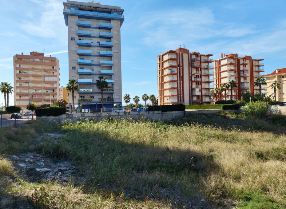 Resale - Plot -
Guardamar del Segura - Guardamar pueblo