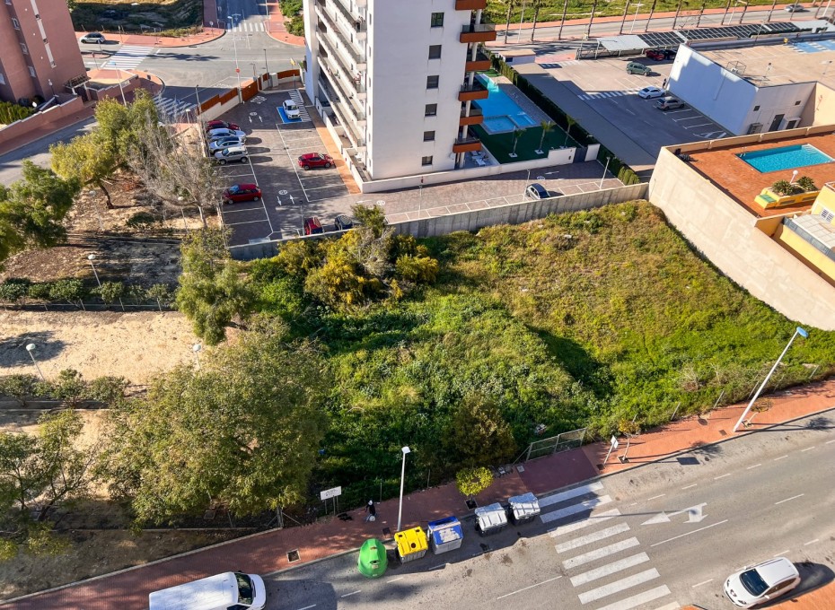 Resale - Plot -
Guardamar del Segura - Guardamar