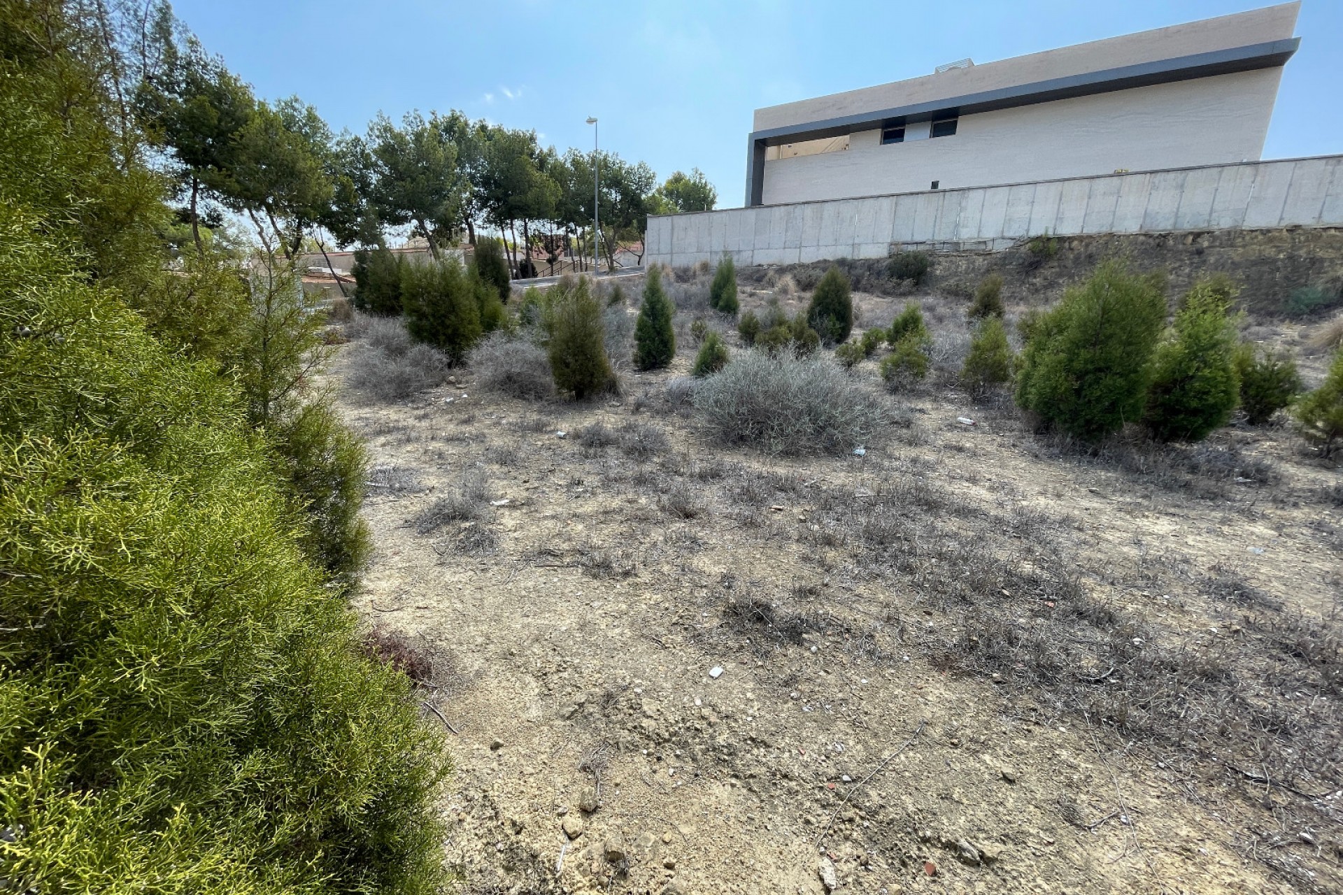 Resale - Plot -
Rojales