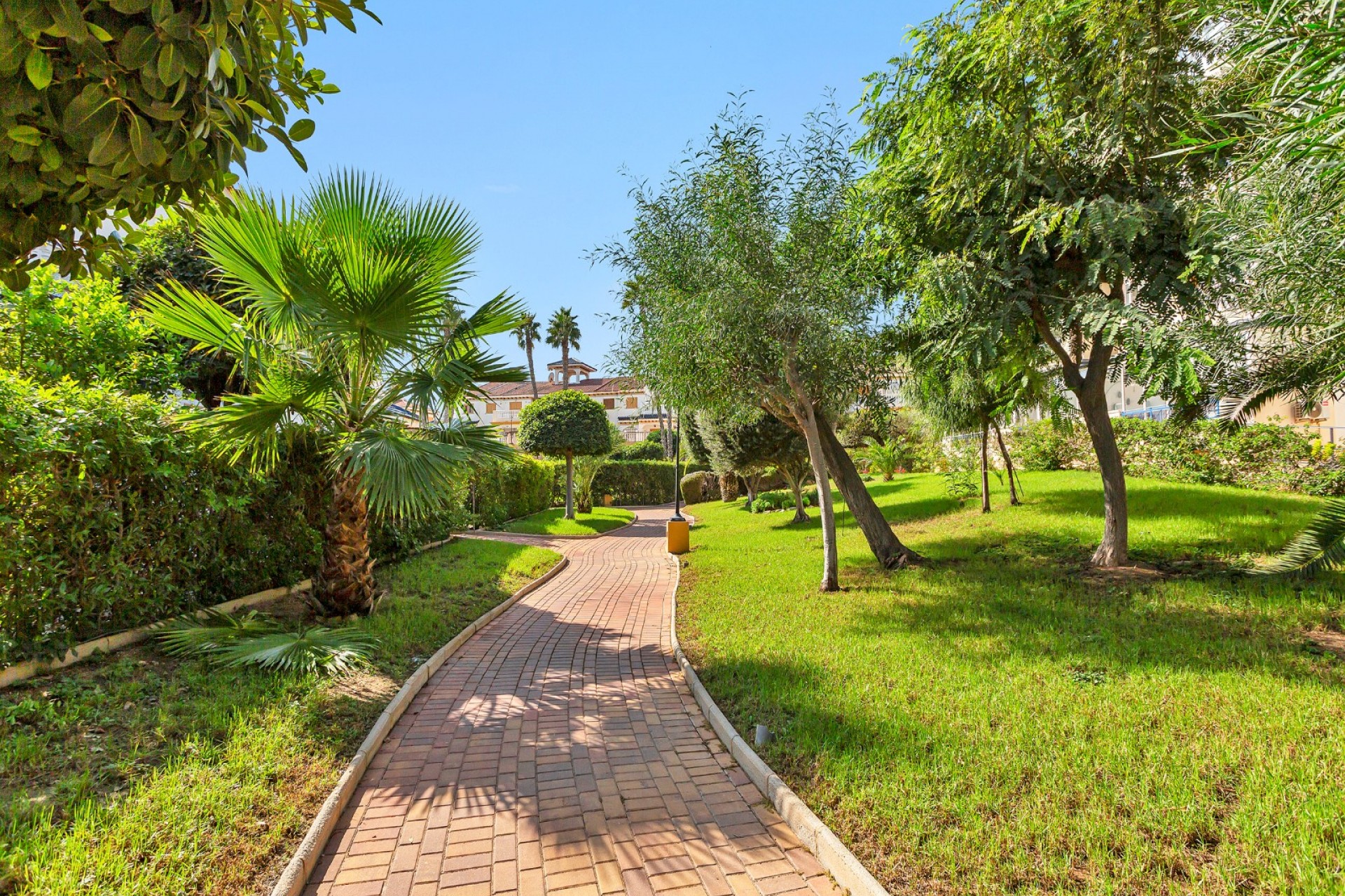 Resale - Studio -
La Mata