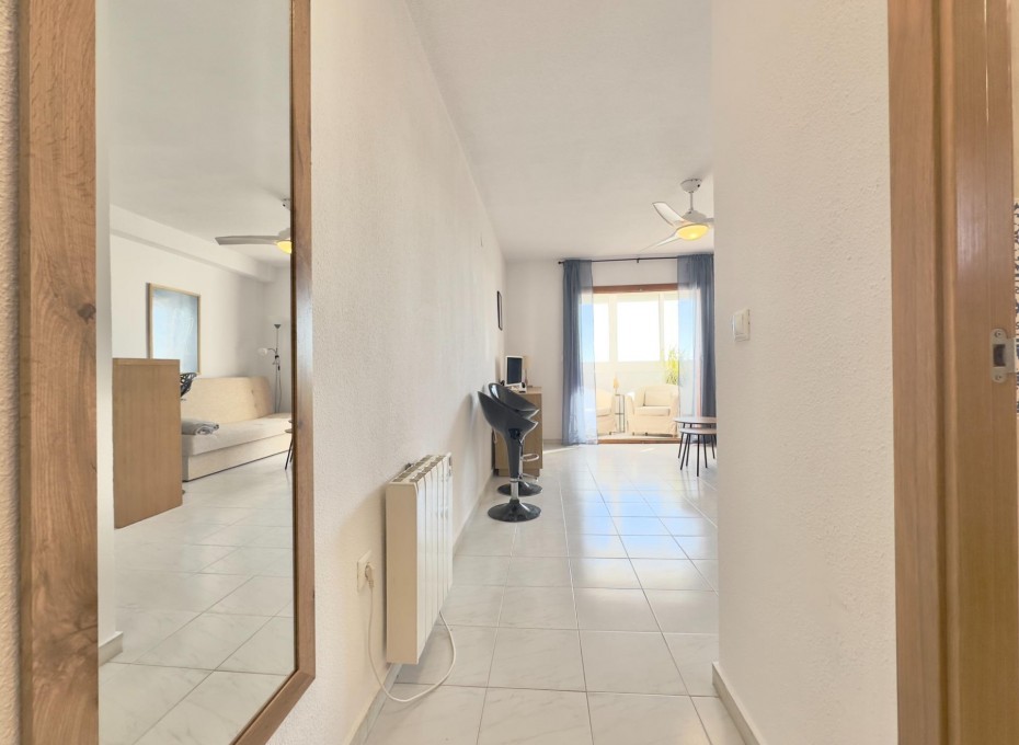 Resale - Studio -
Torrevieja - Los Europeos