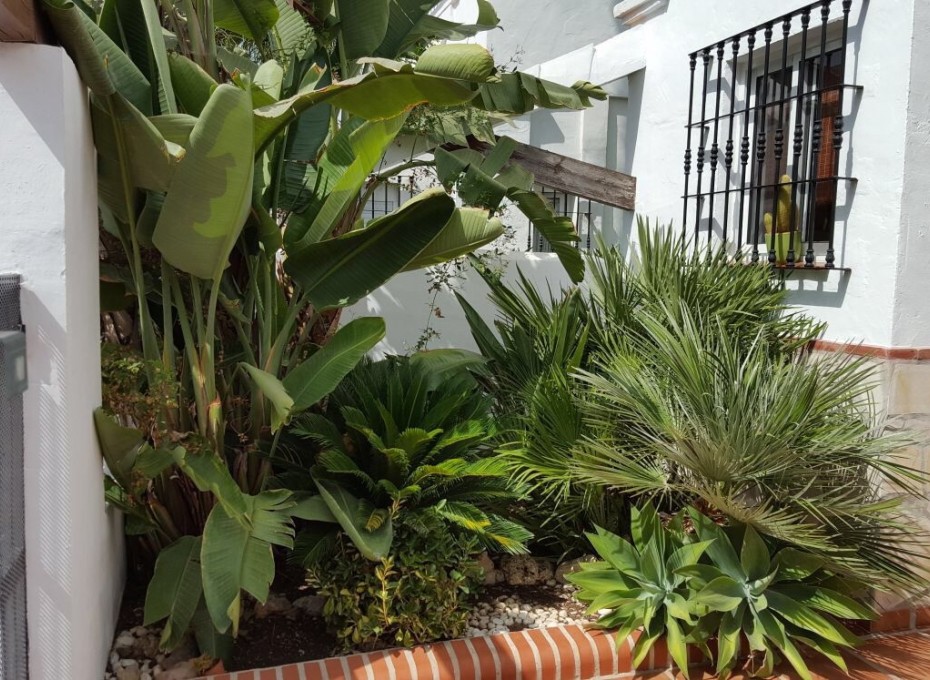 Resale - Townhouse -
Marbella - Los Naranjos de Marbella