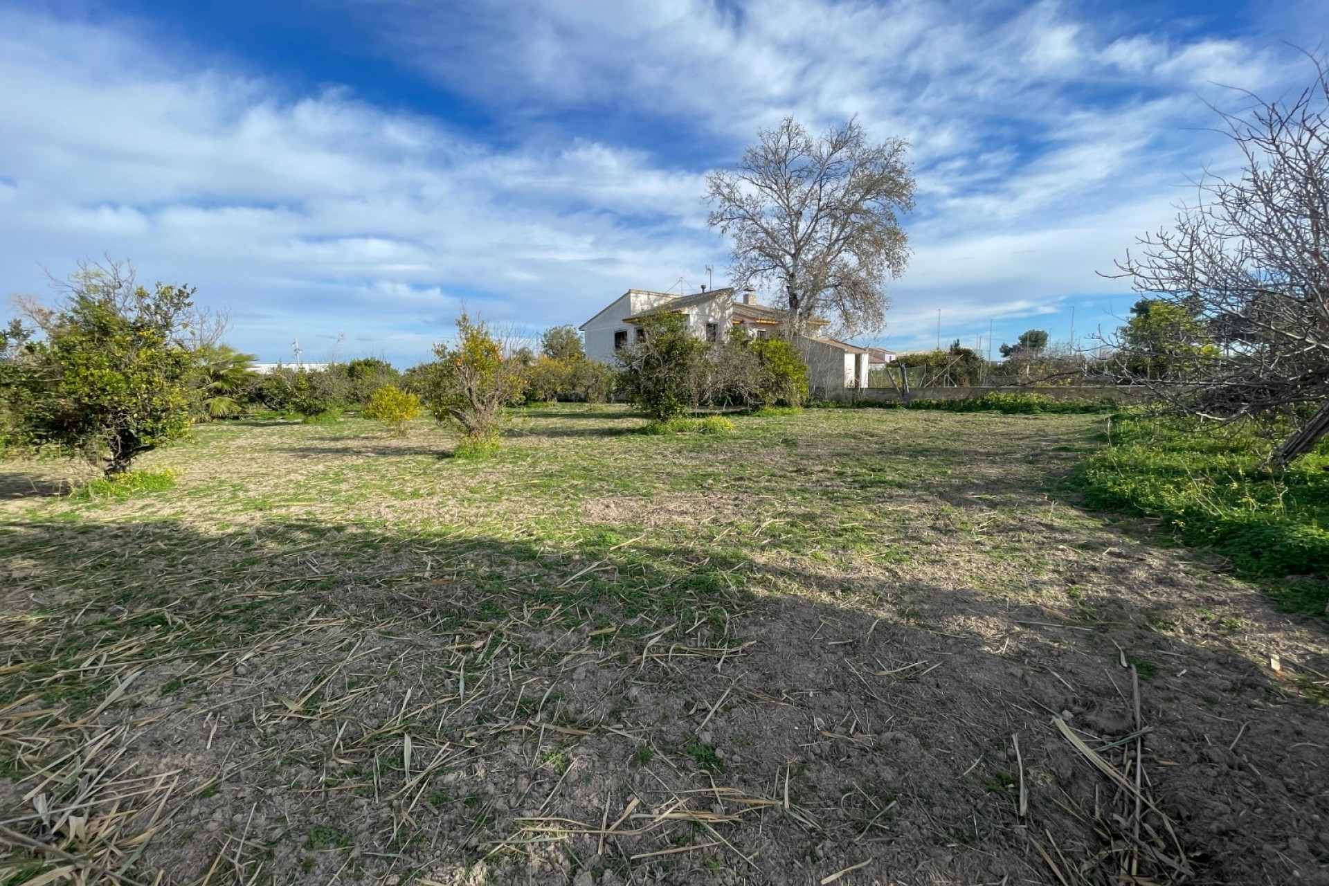 Resale - Villa -
Benejuzar - Comunidad Valenciana