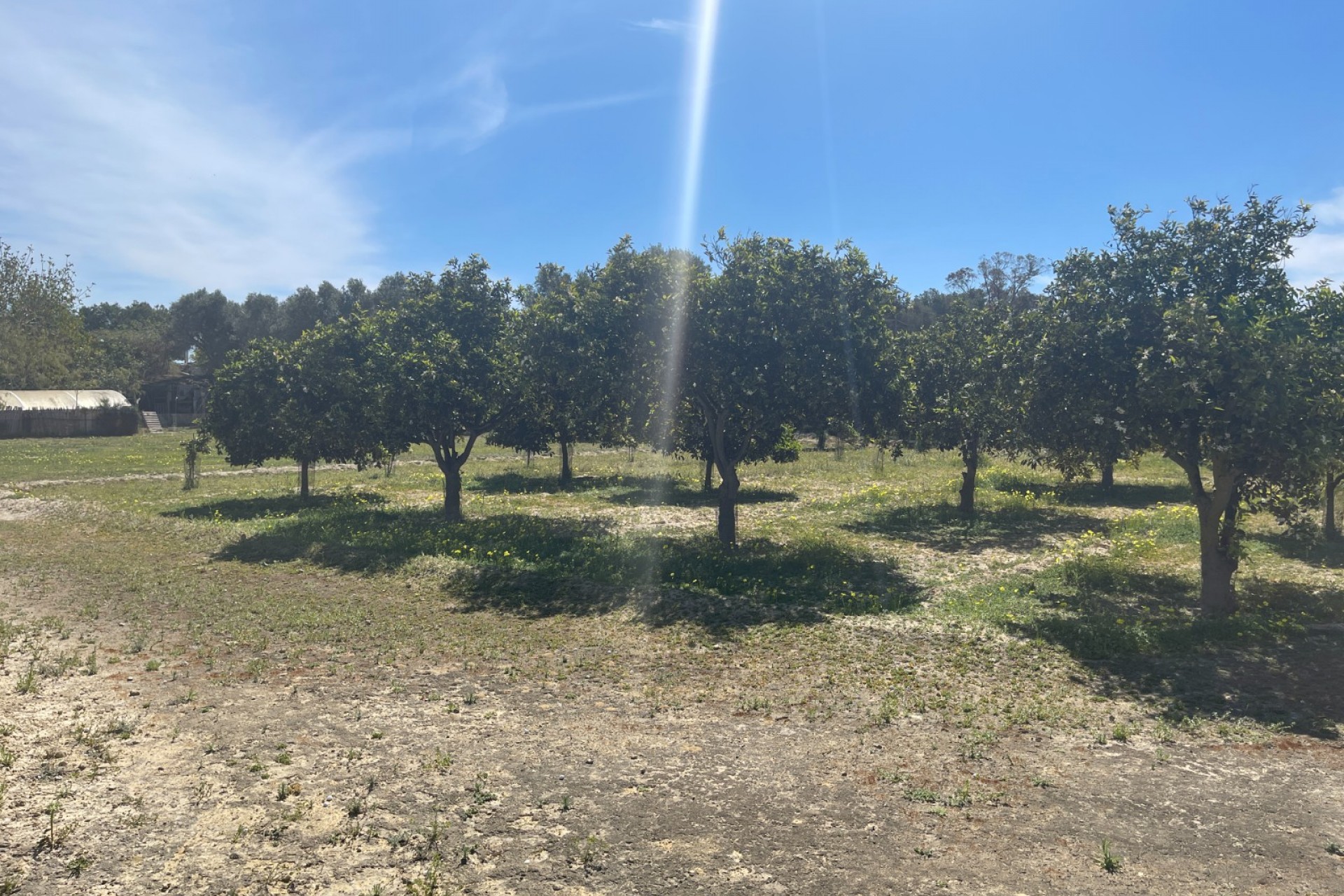 Resale - Villa -
Guardamar del Segura - Valencian Community