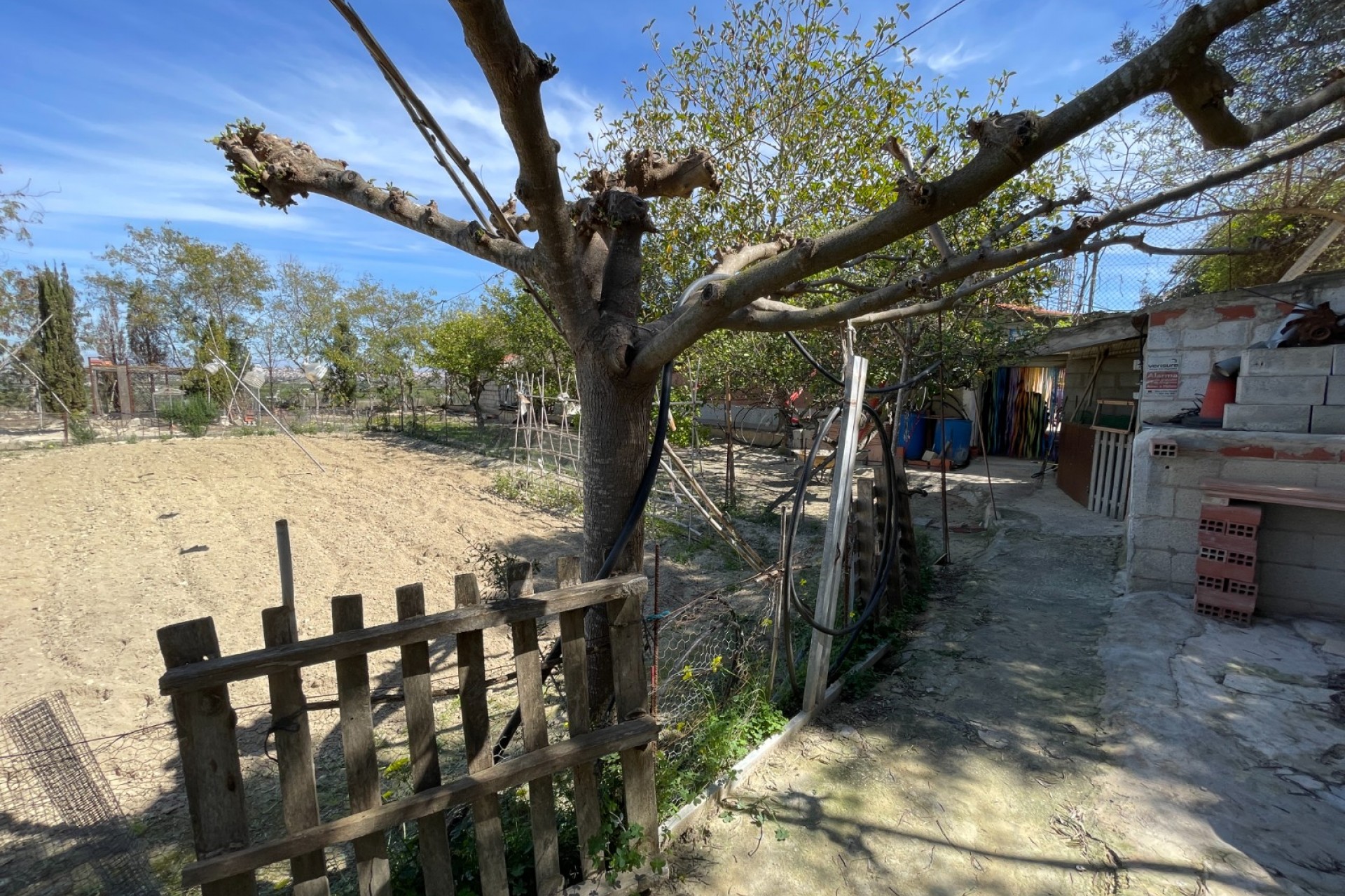 Resale - Villa -
Guardamar del Segura - Valencian Community