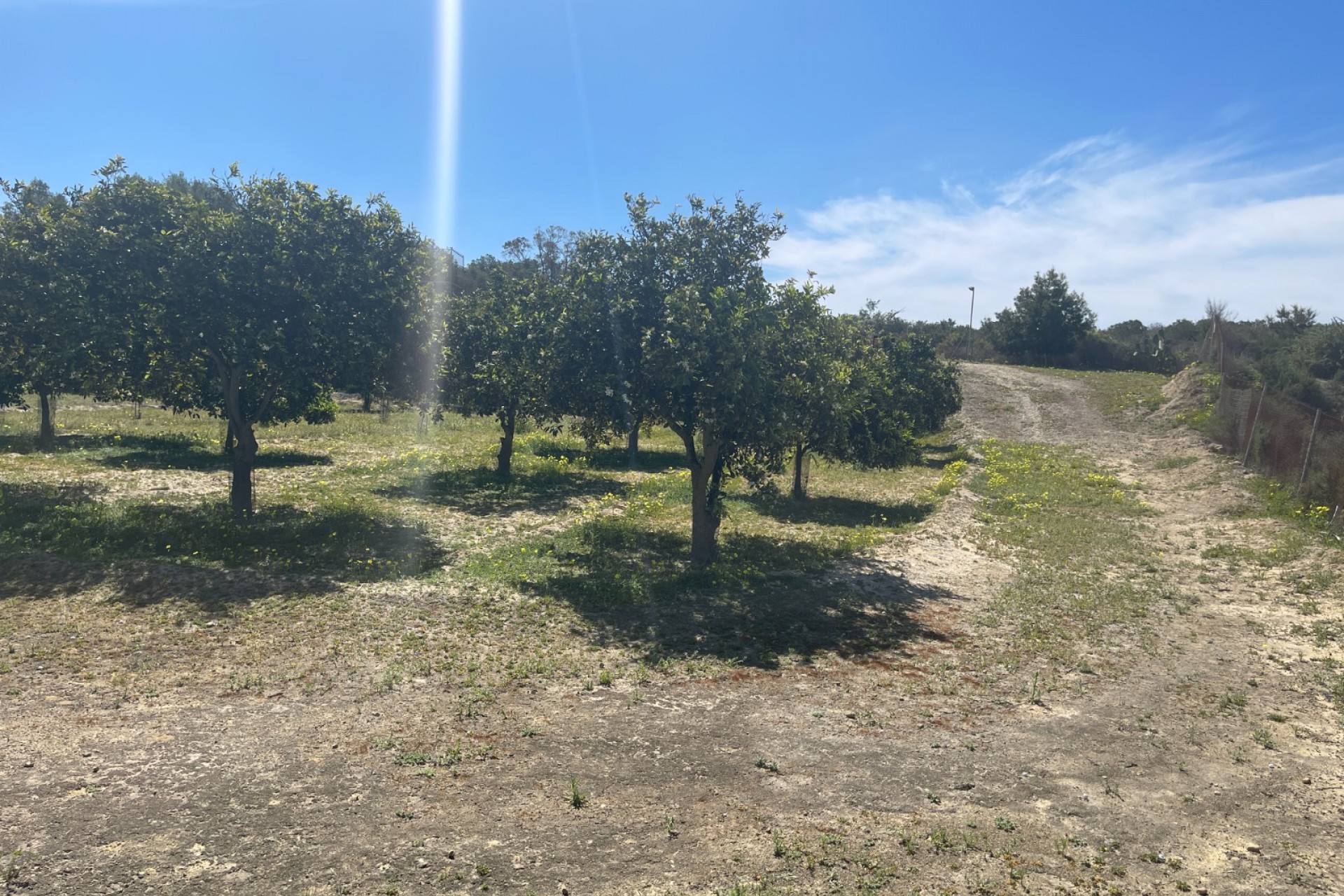 Resale - Villa -
Guardamar del Segura - Valencian Community