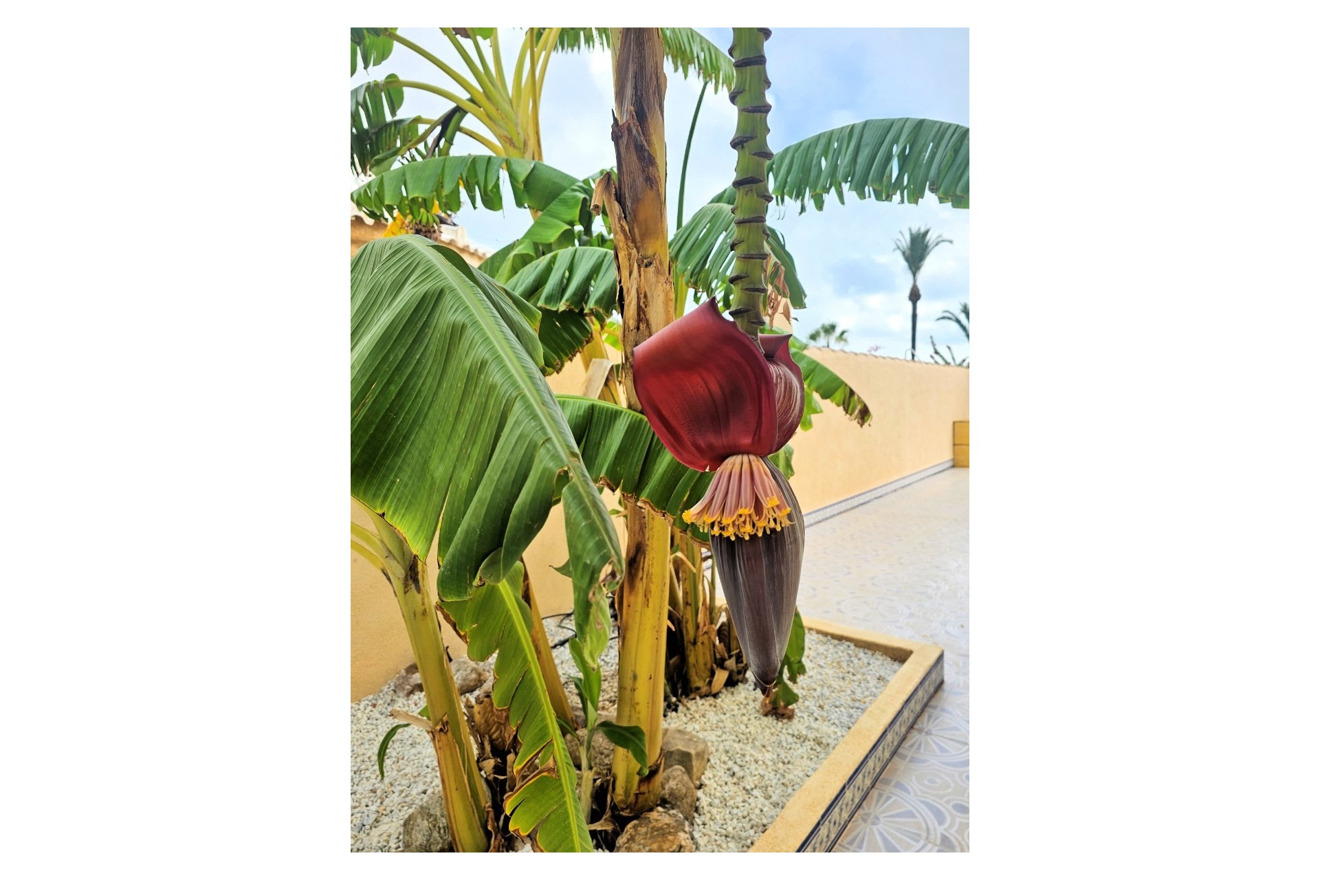 Resale - Villa -
LOS URRUTIAS - ESTRELLA DE MAR