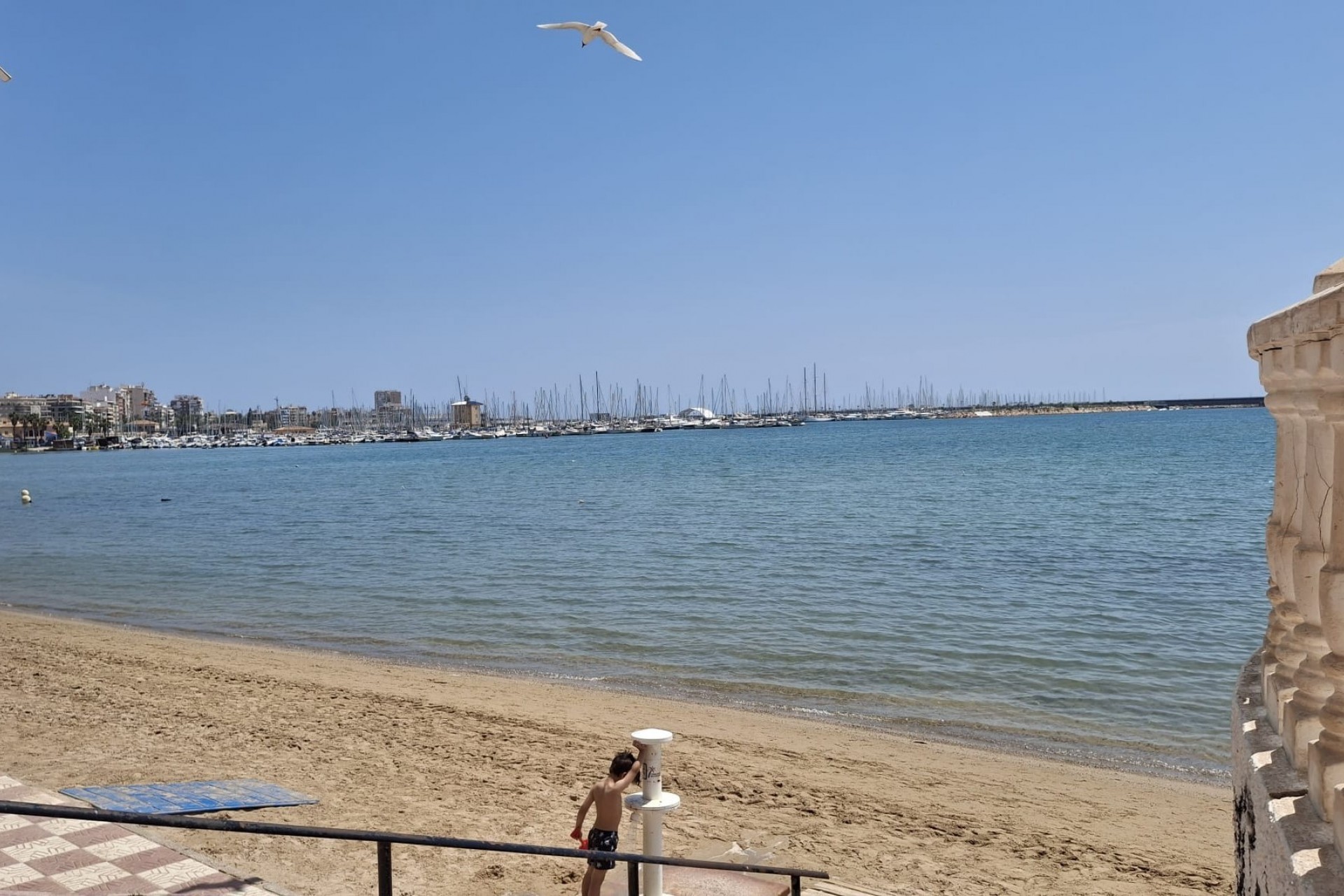 Reventa - Apartament / Duplex -
Torrevieja - Playa Acequion