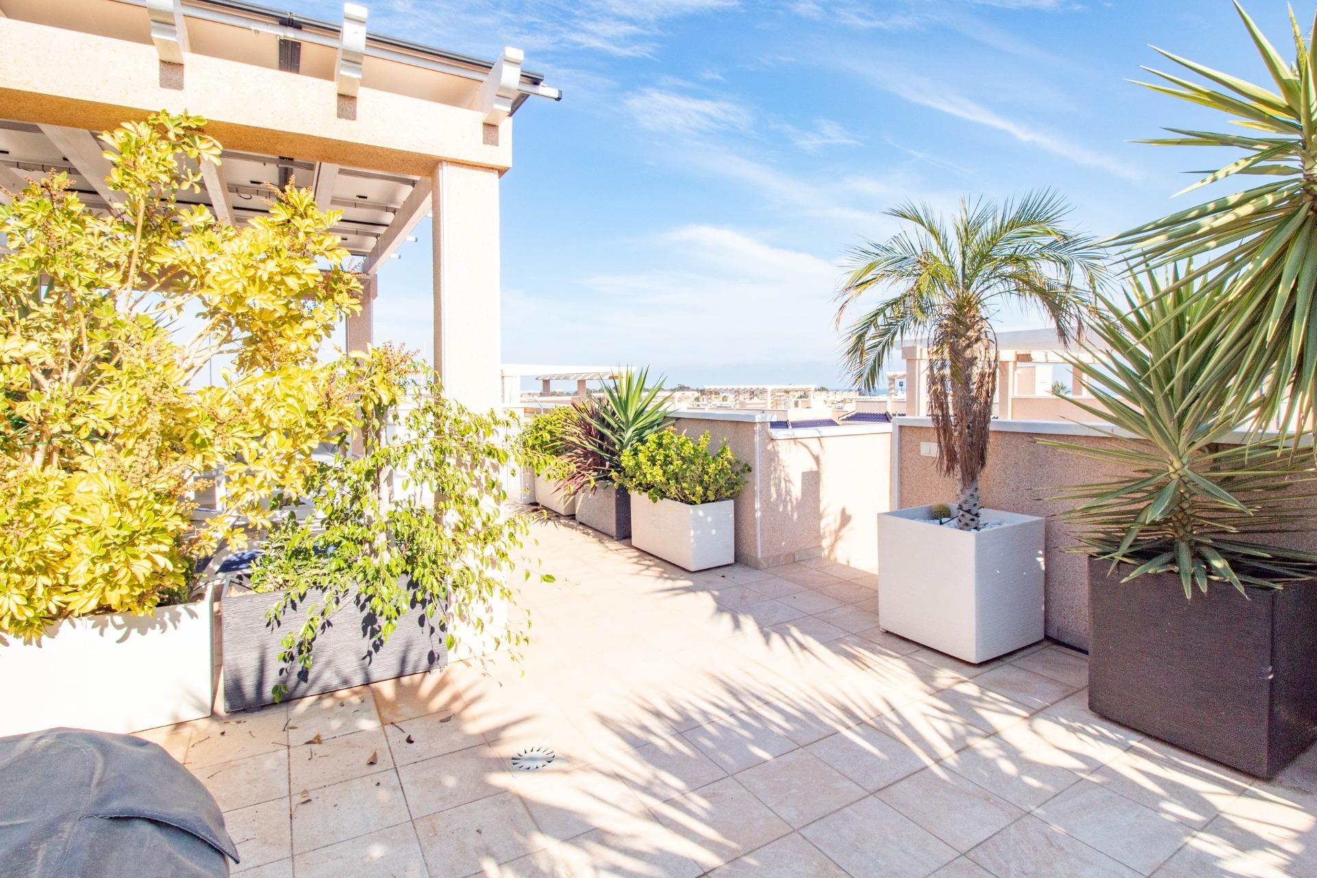 Reventa - Bungalow -
Torrevieja - Punta prima