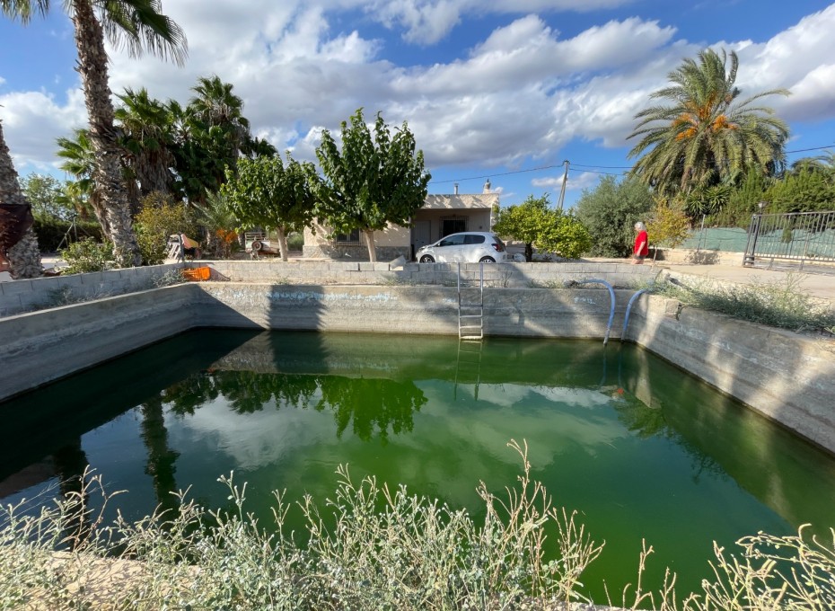 Reventa - Chalet / Villa -
Crevillent - Crevillente