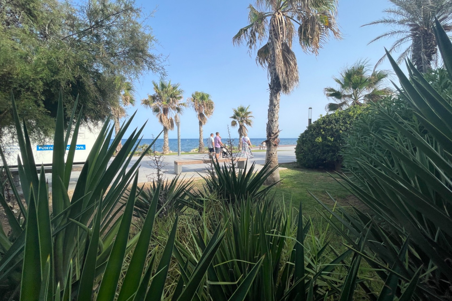 Reventa - Commercial space -
Torrevieia - Comunidad Valenciana