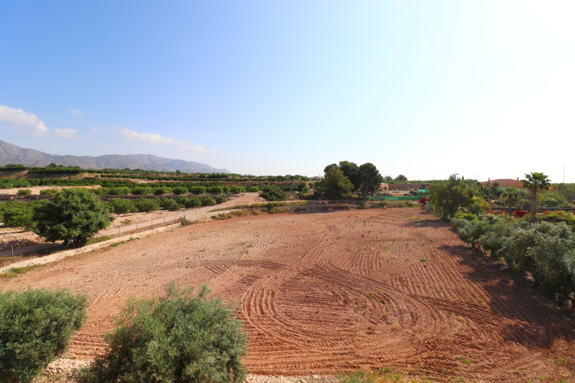 Reventa - Country House -
Albatera - Albatera - Country