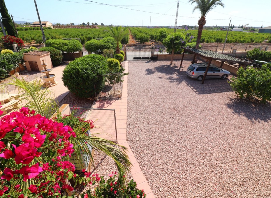 Reventa - Country House -
Albatera - Albatera - Country