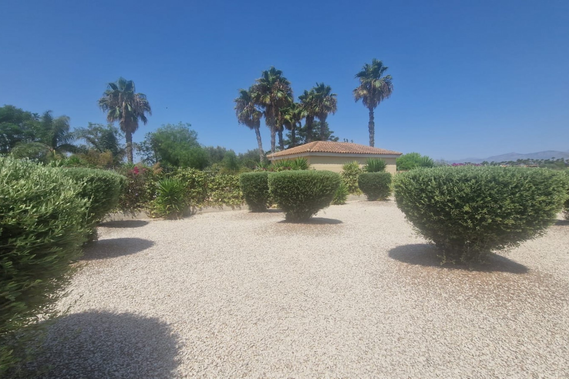 Reventa - Country House -
Catral