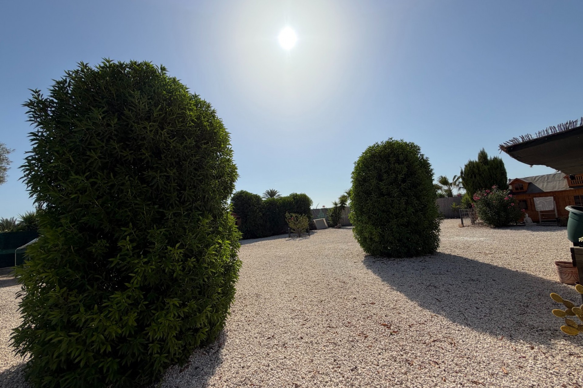Reventa - Country House -
La Marina - Elche / Elx