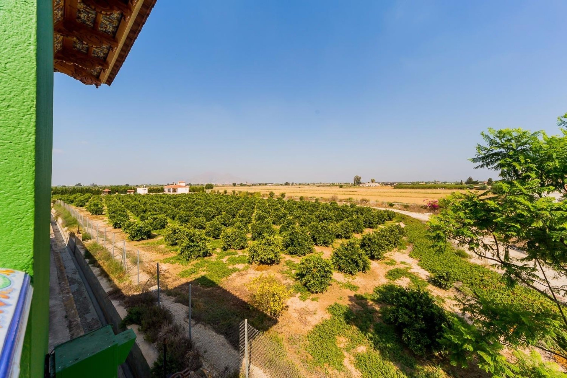 Reventa - Finca / Country Property -
Almoradí