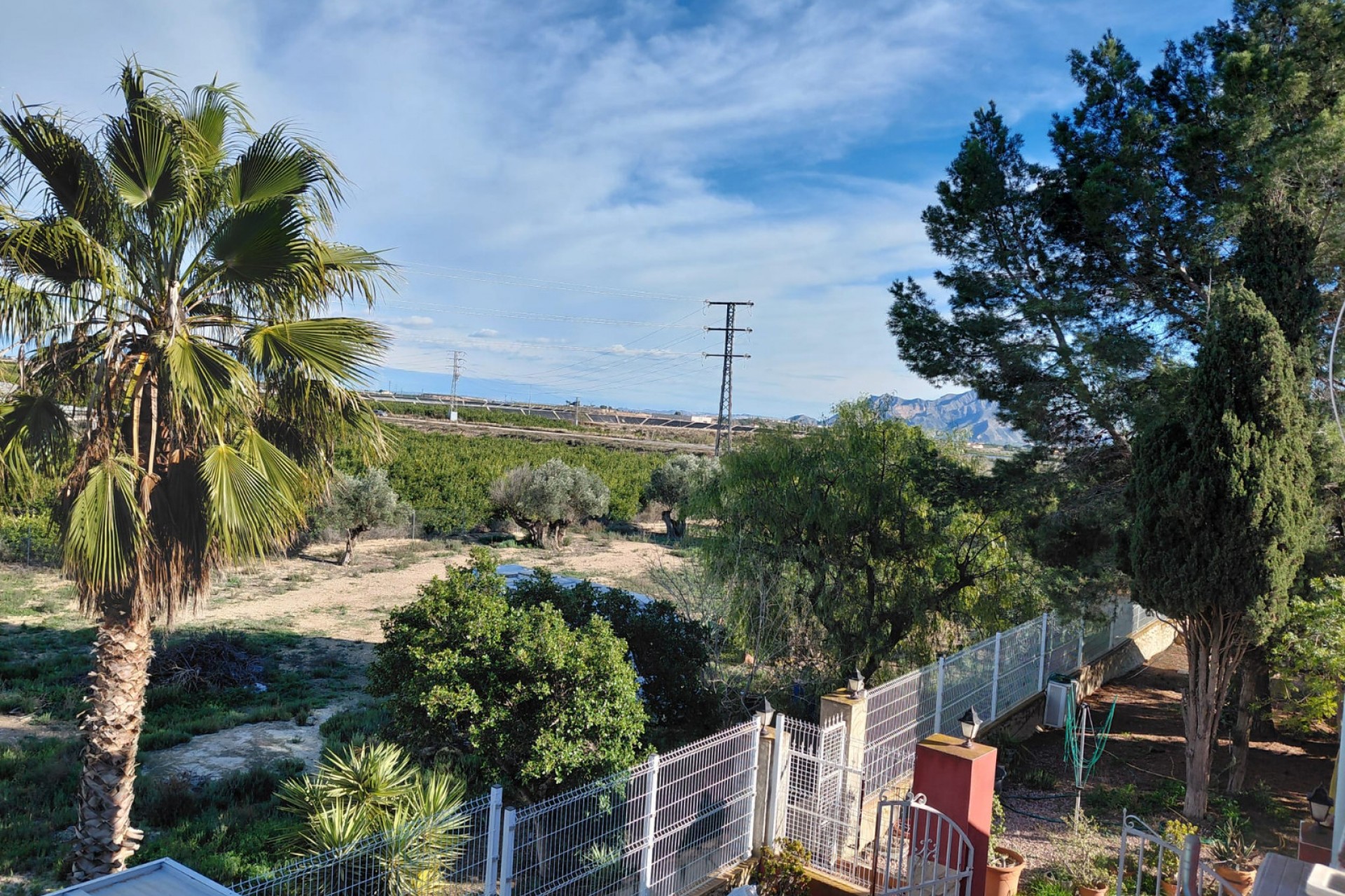 Reventa - Finca / Country Property -
Orihuela