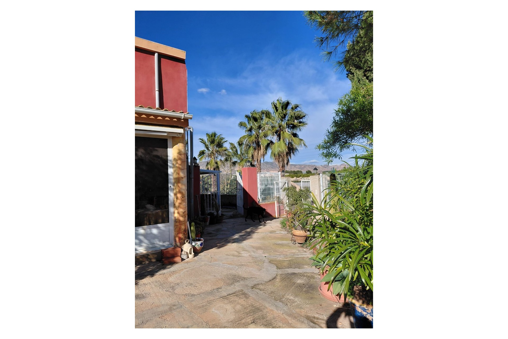 Reventa - Finca / Country Property -
Orihuela